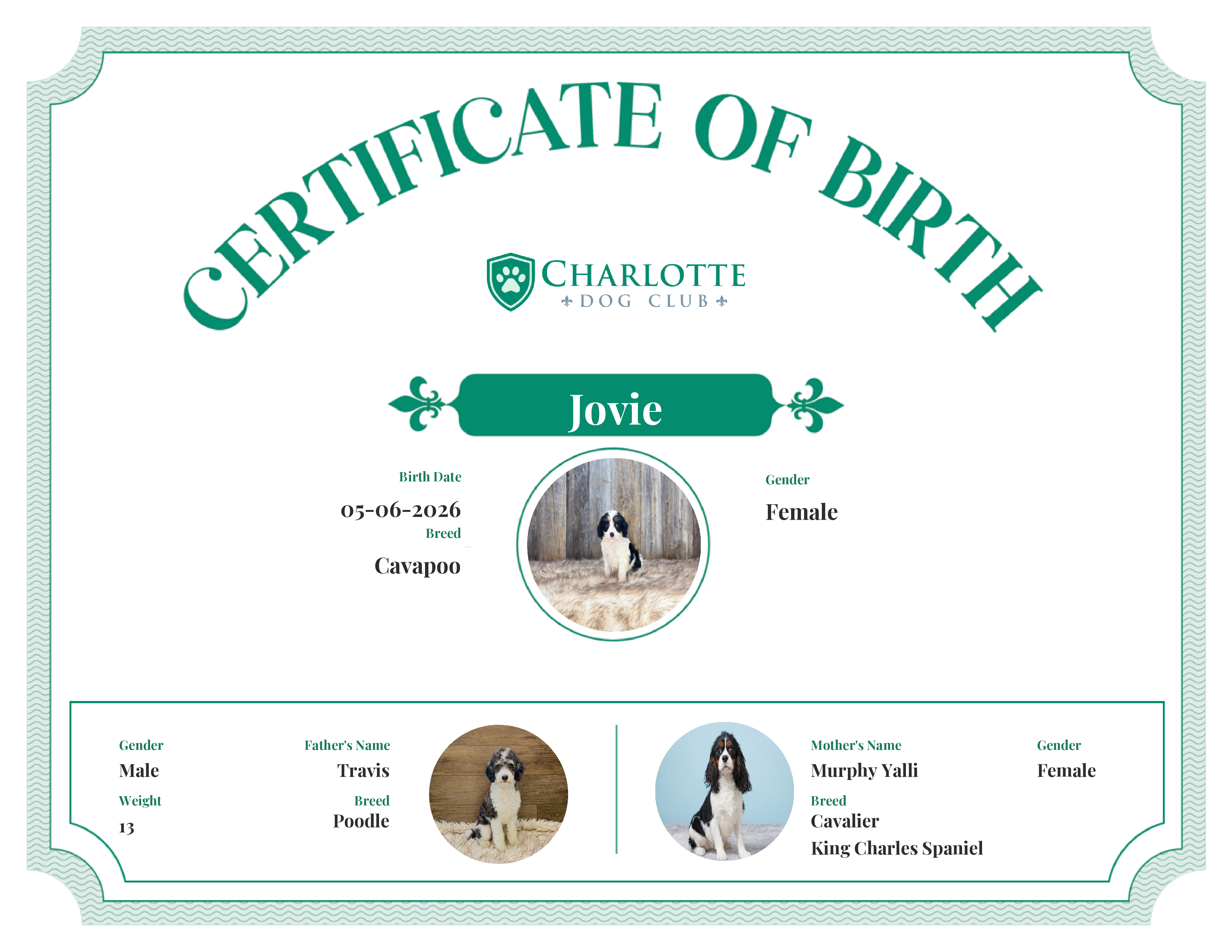 Jovie's Birth Certificate