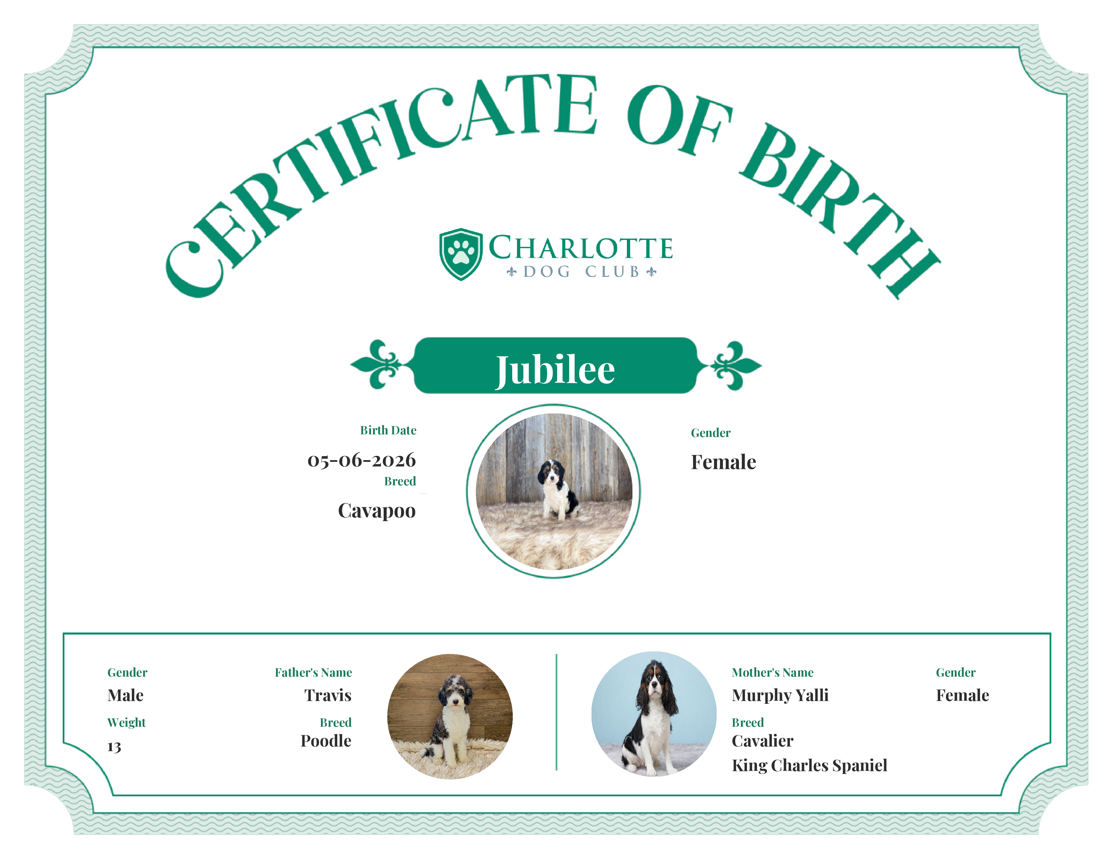 Jubilee's Birth Certificate