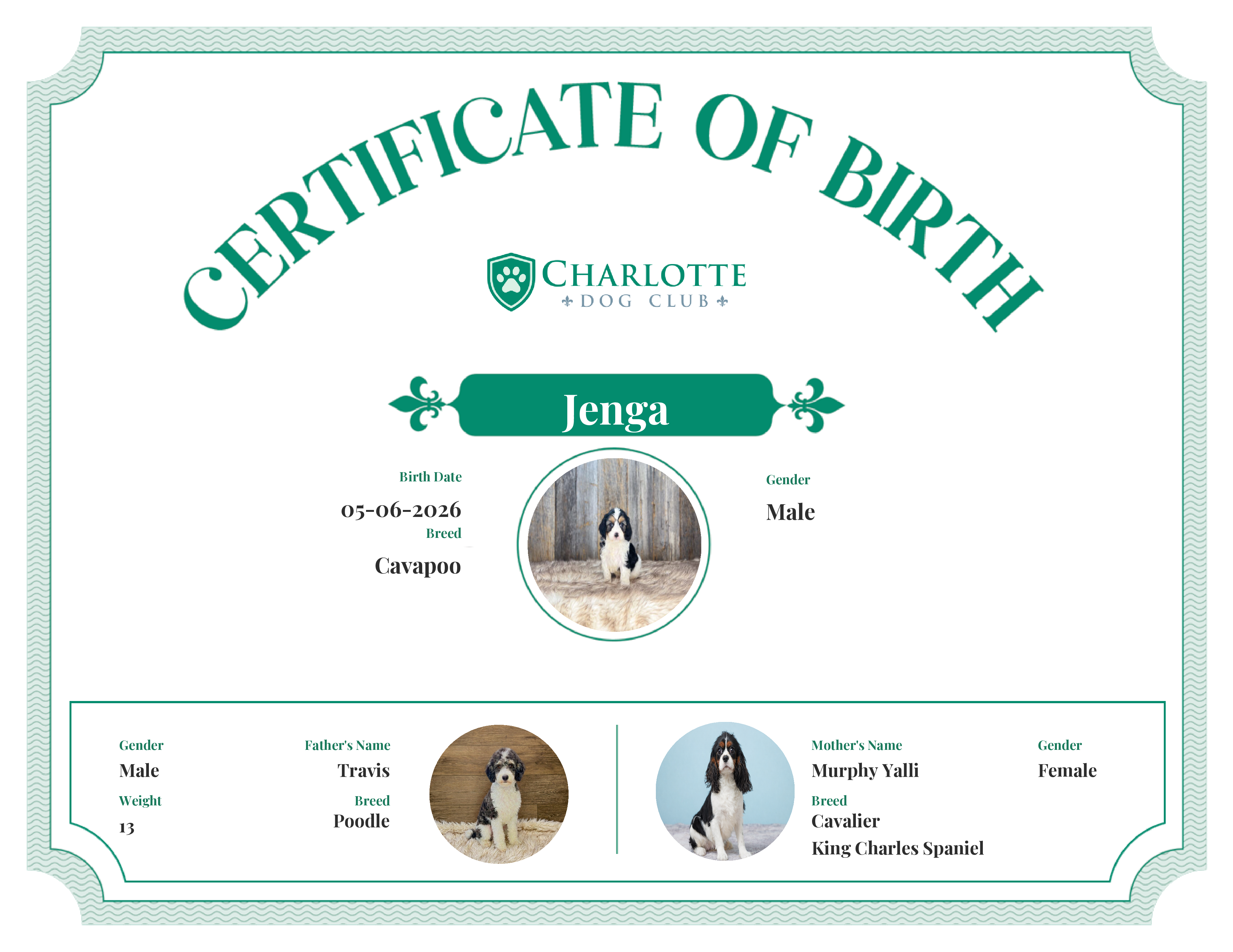 Jenga's Birth Certificate