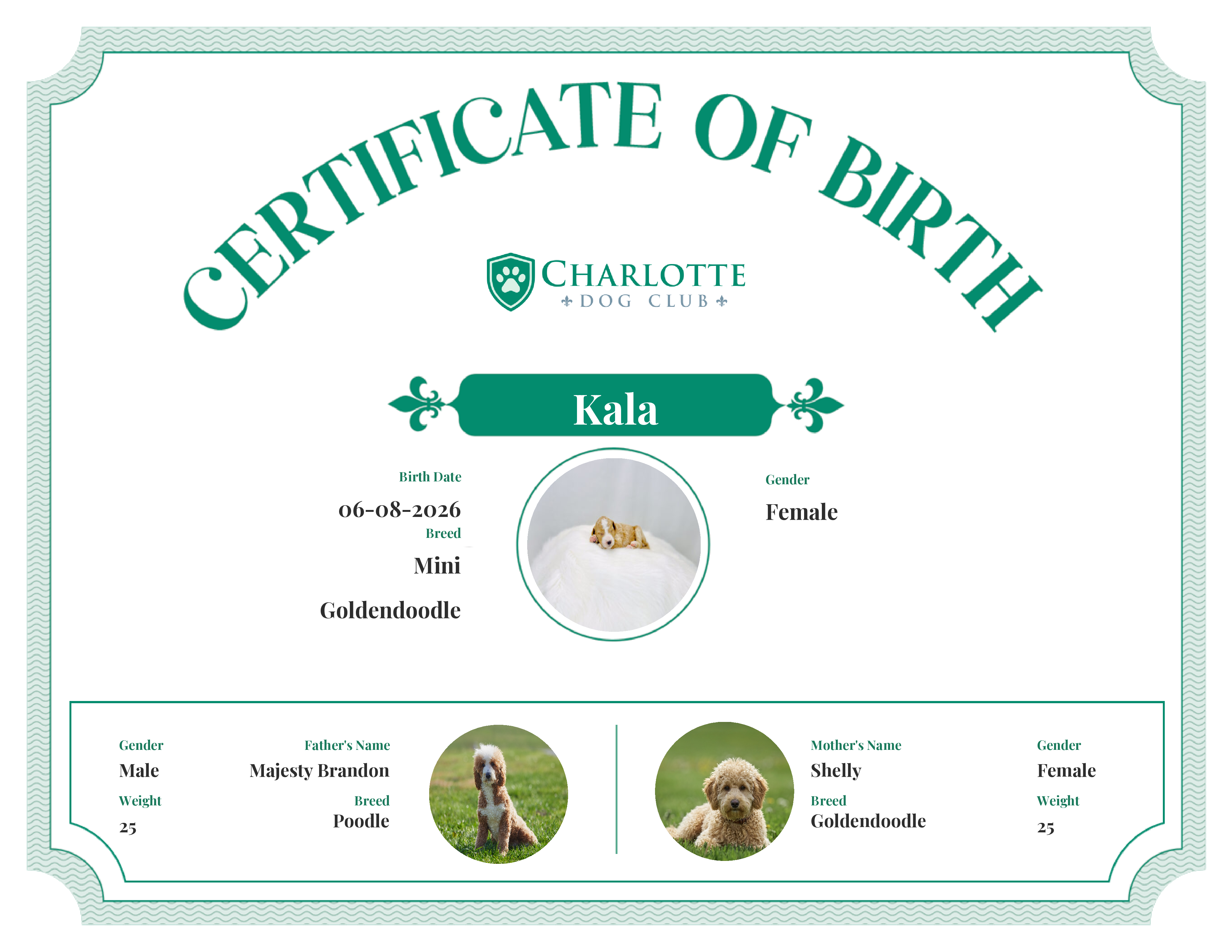 Kala's Birth Certificate