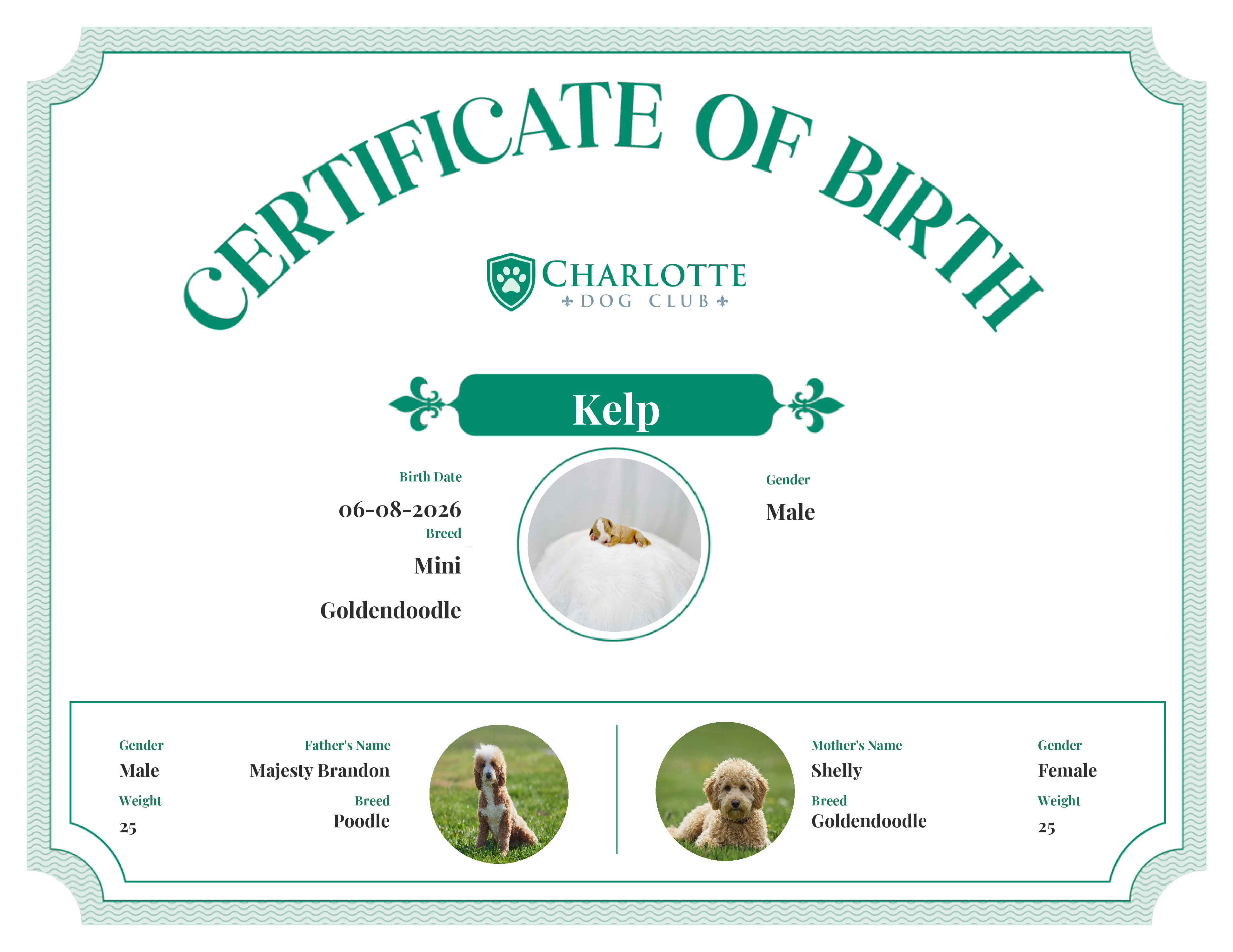 Kelp's Birth Certificate