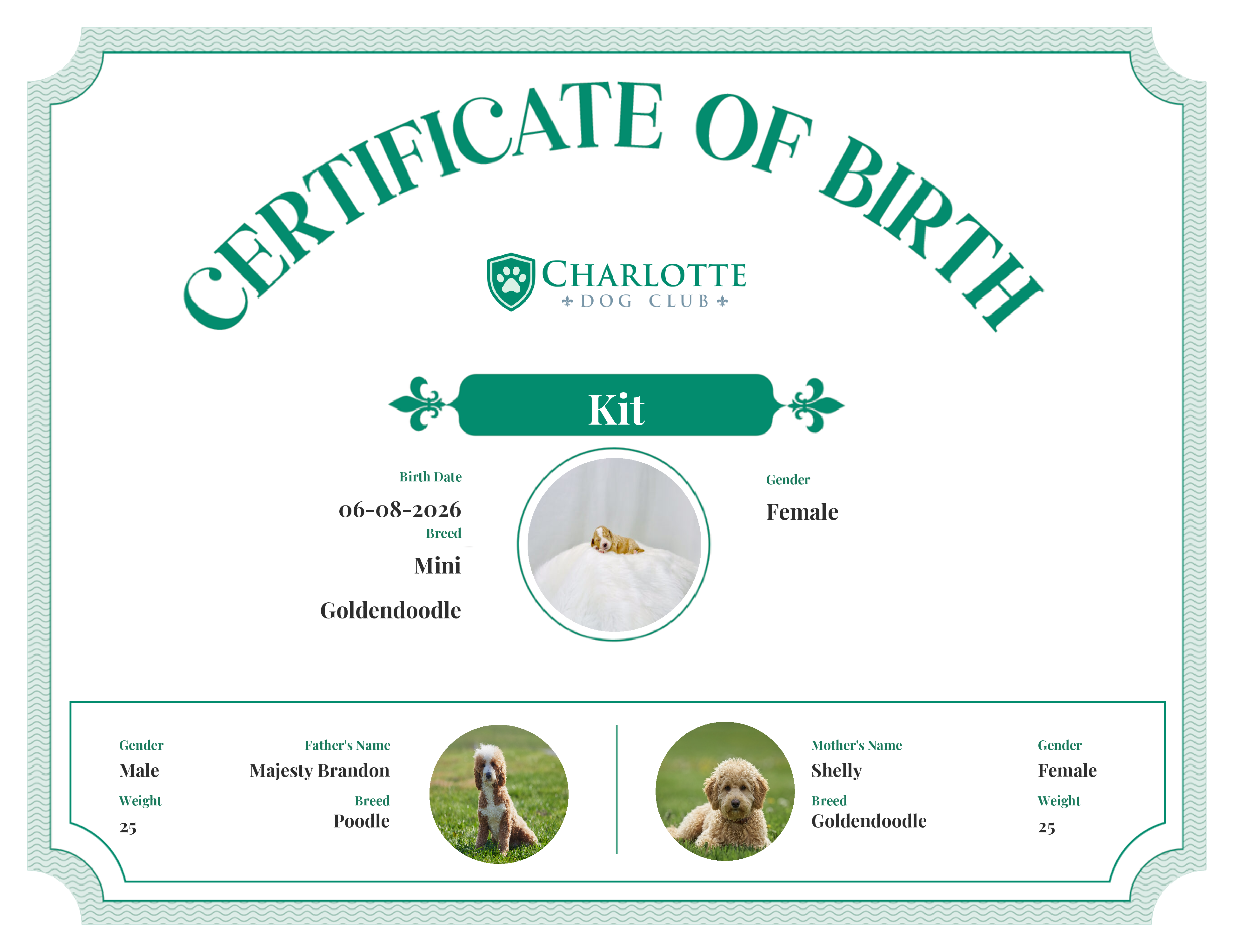 Kit's Birth Certificate