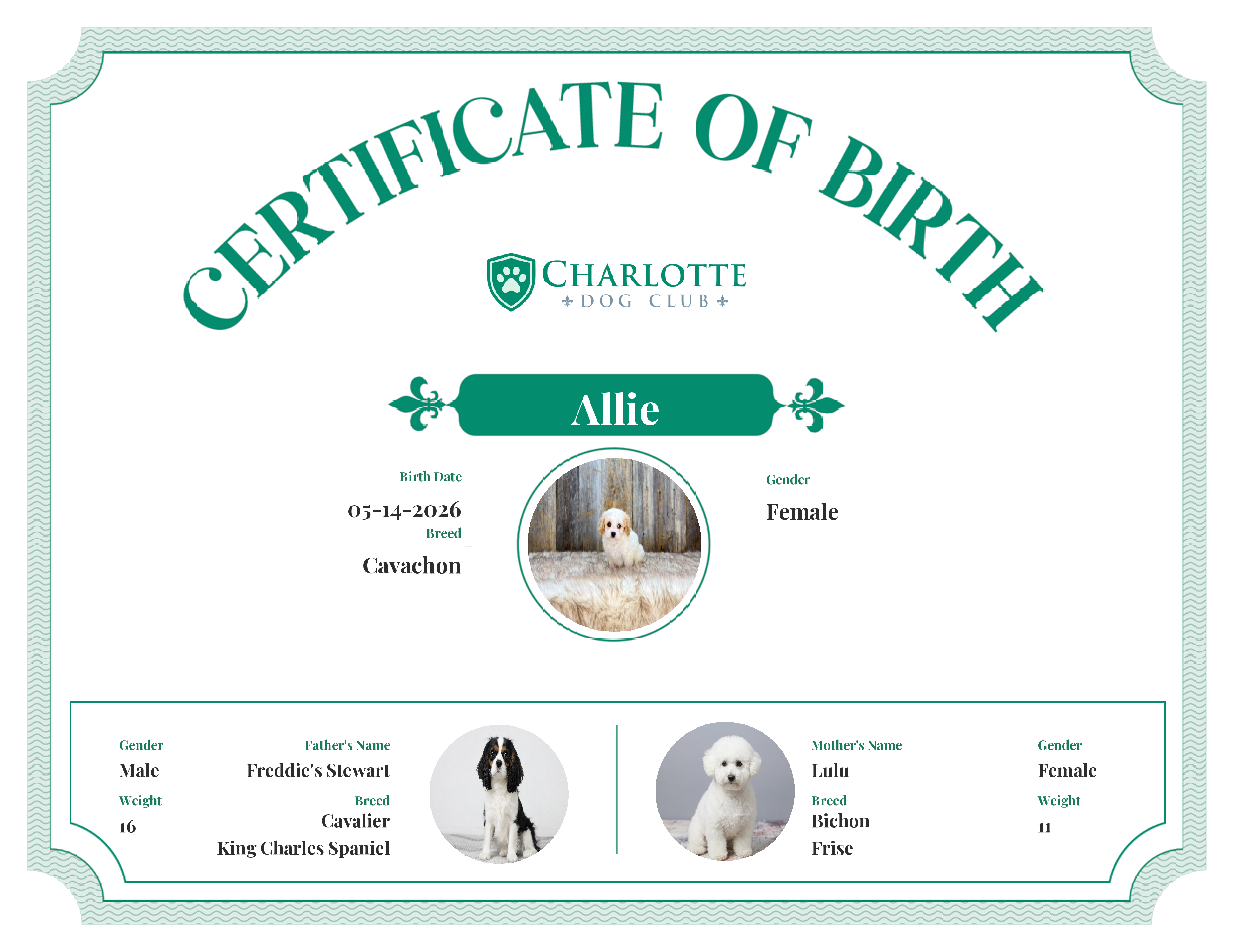 Allie's Birth Certificate