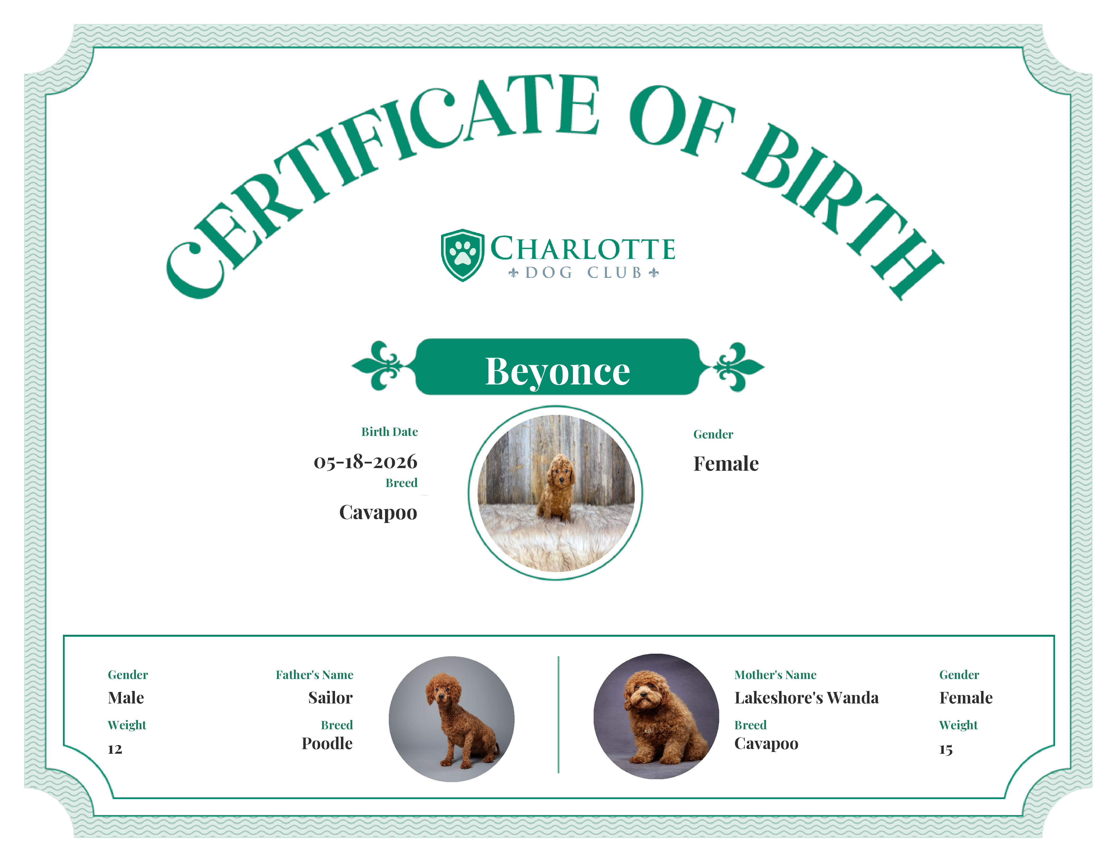 Beyonce's Birth Certificate