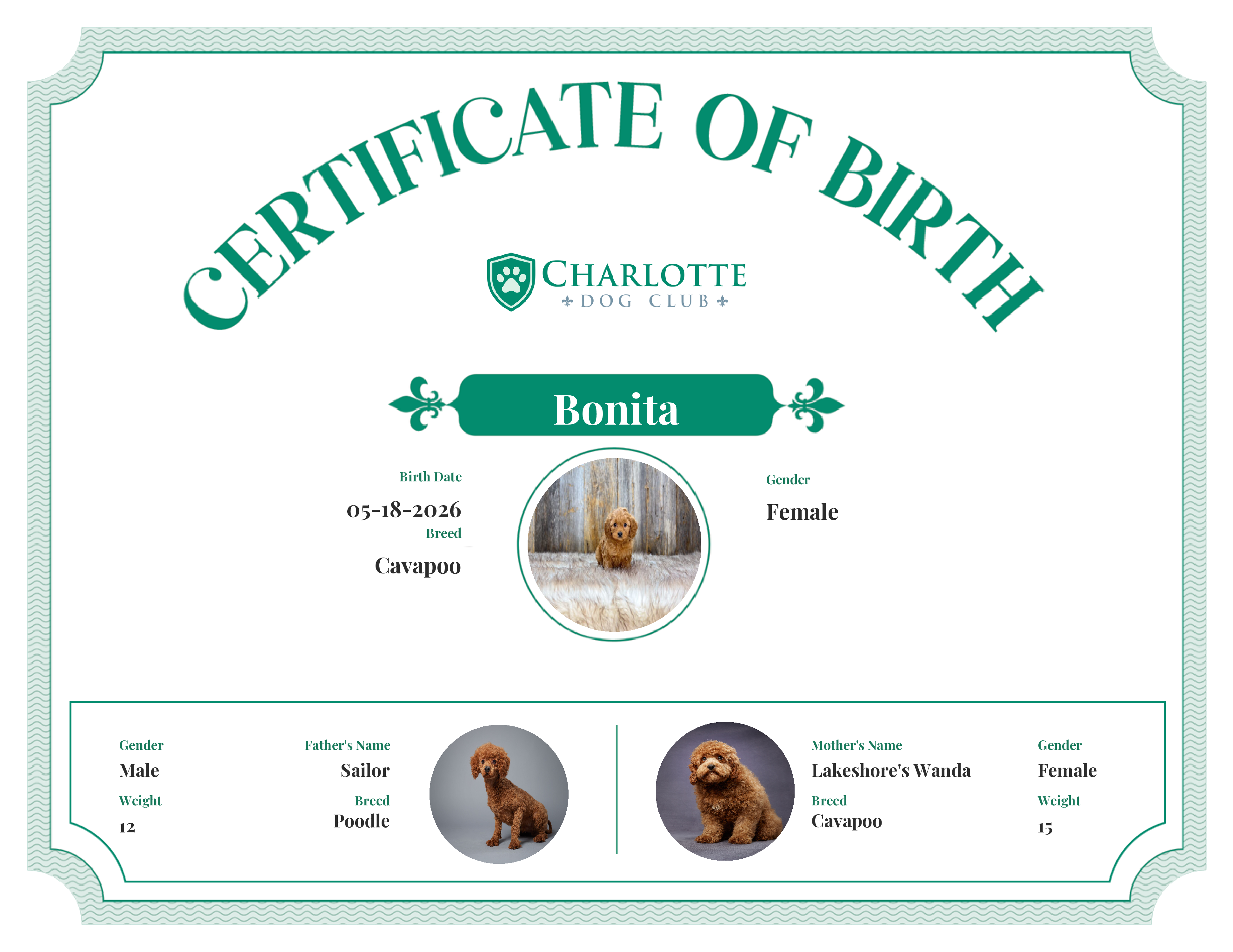 Bonita's Birth Certificate