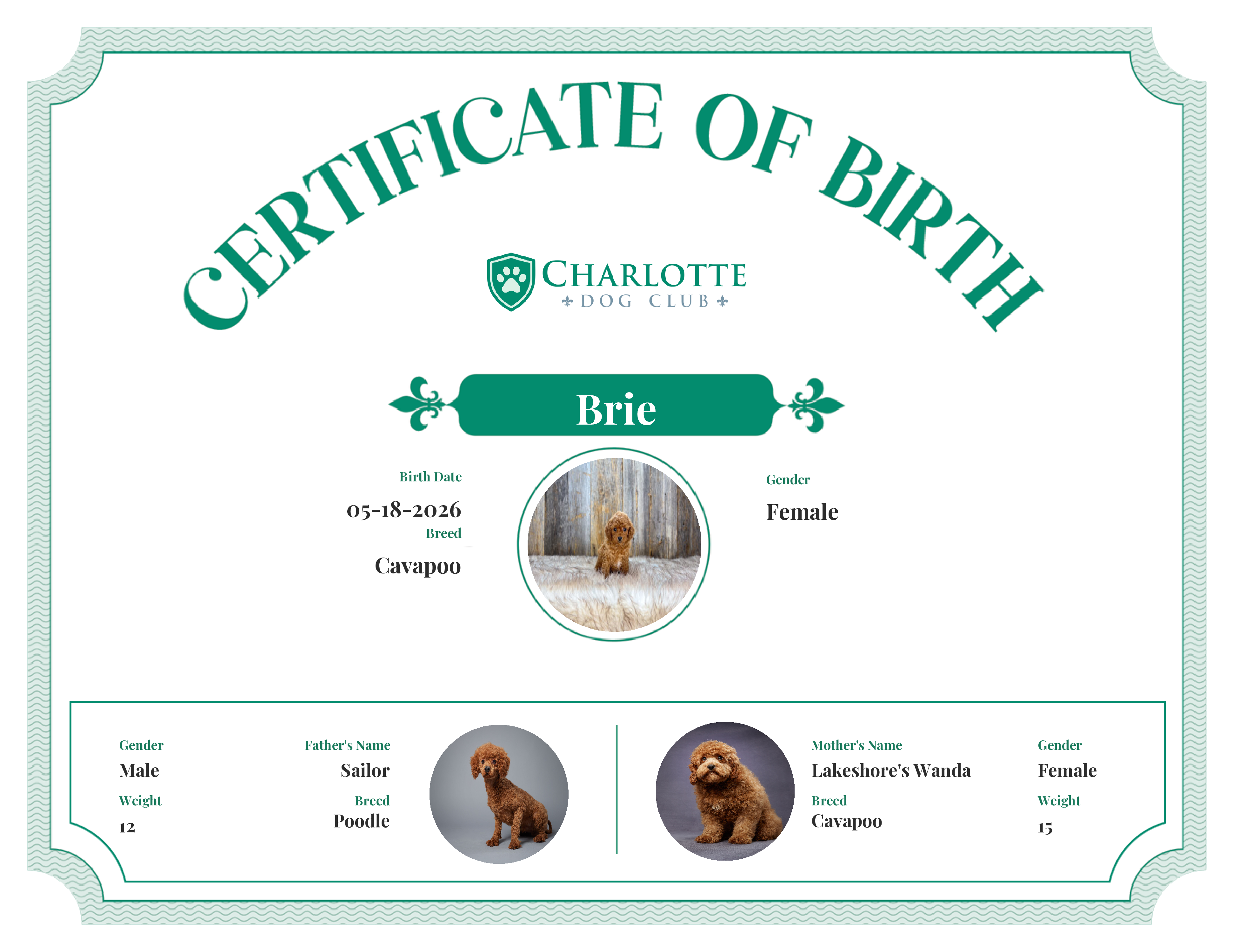 Brie's Birth Certificate