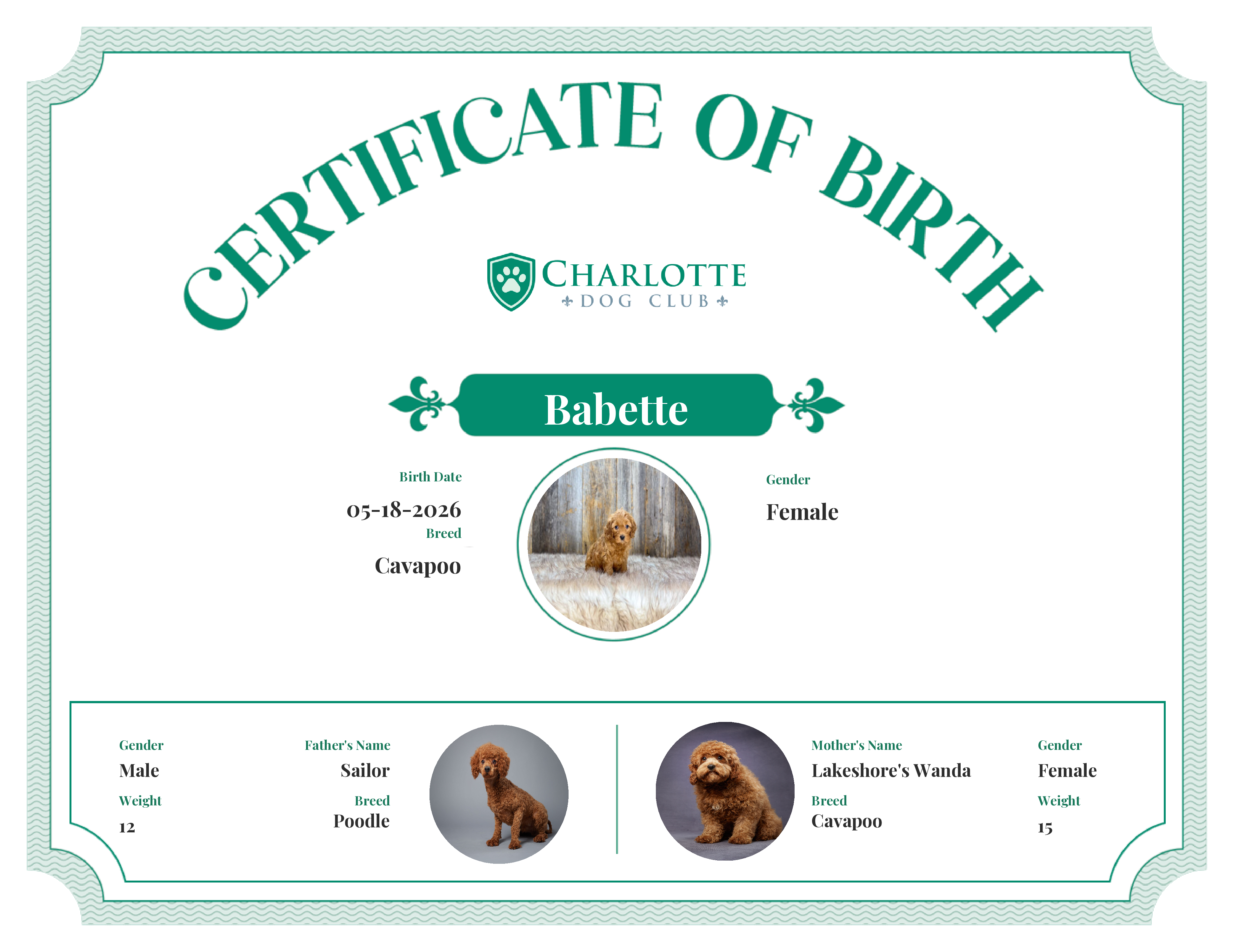 Babette's Birth Certificate