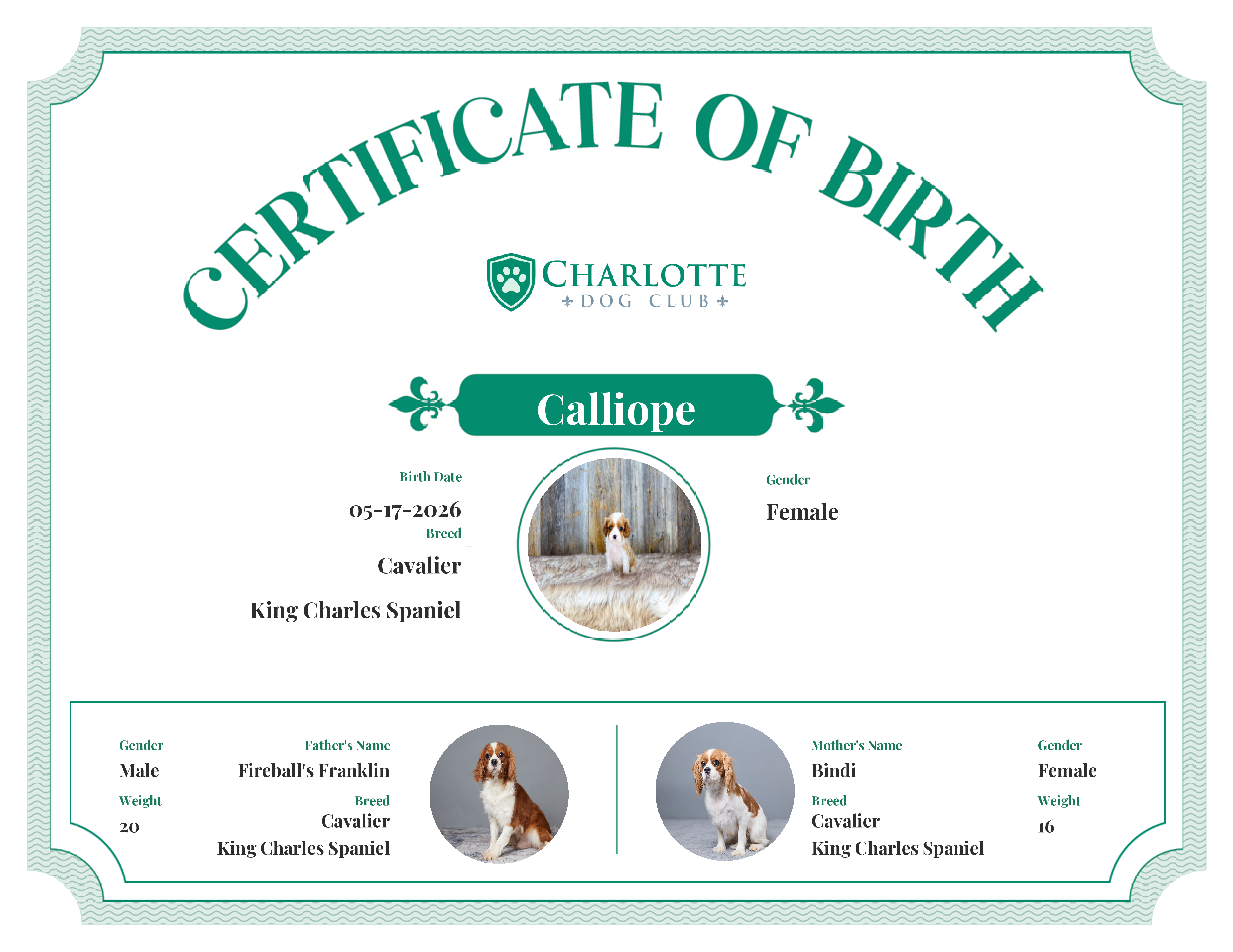 Calliope's Birth Certificate
