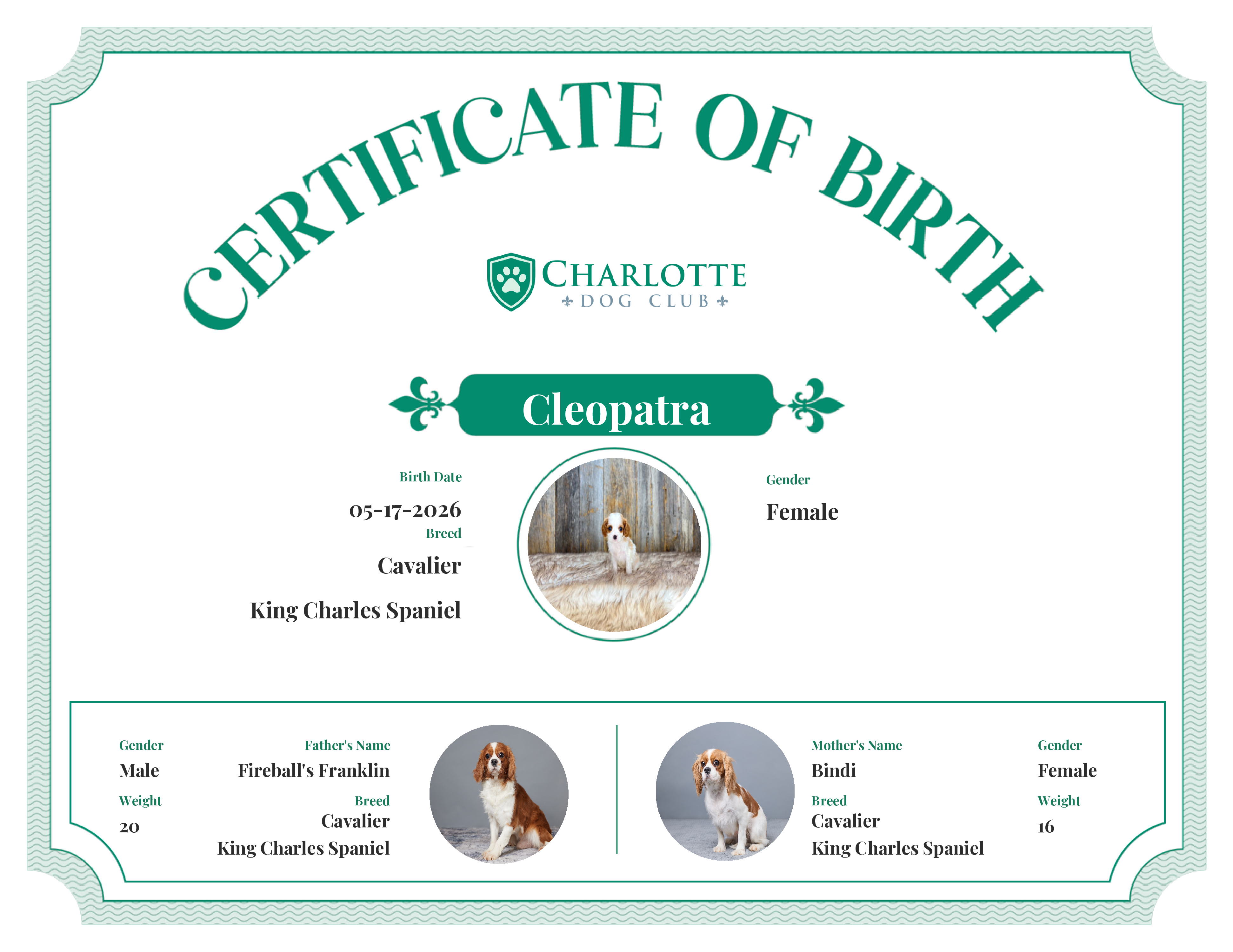 Cleopatra's Birth Certificate