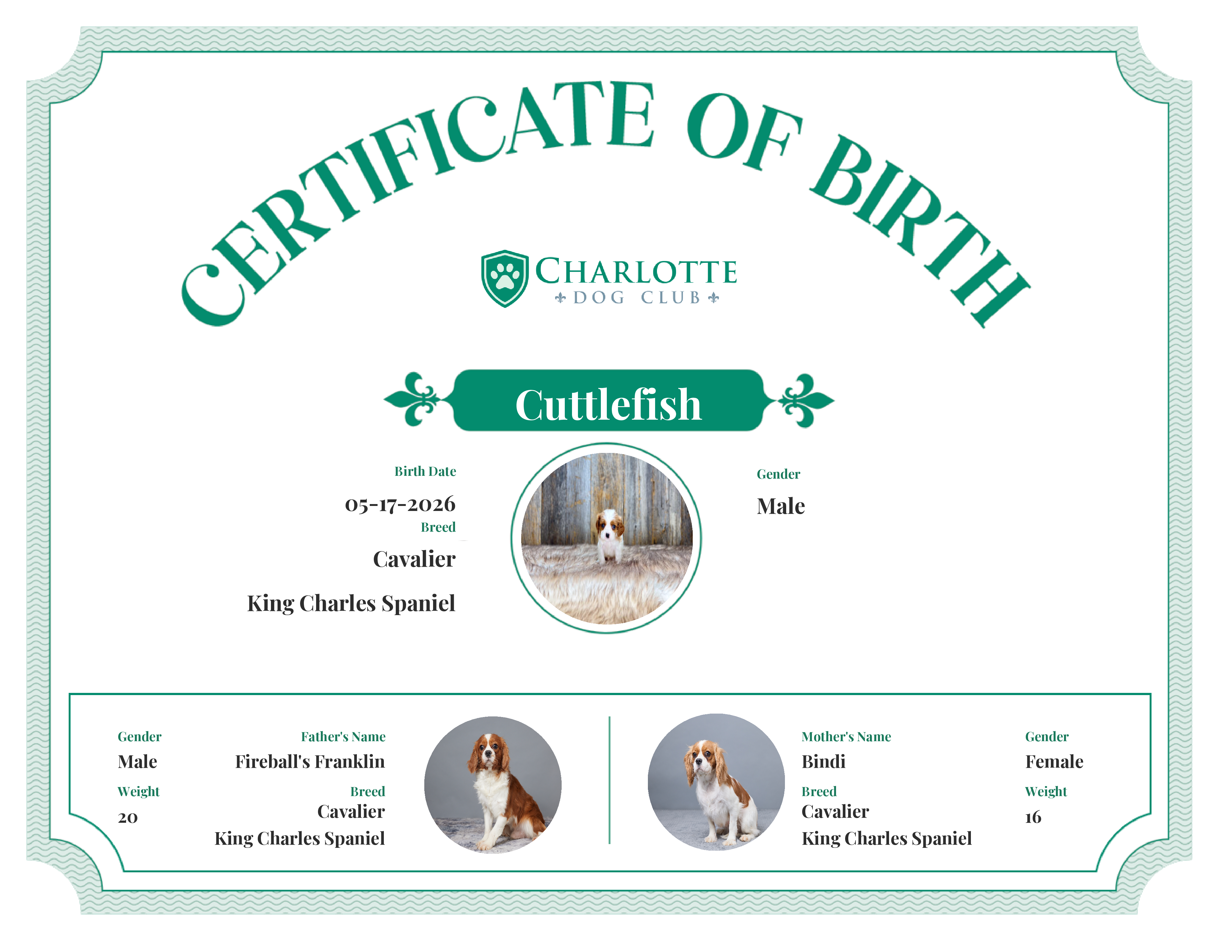 Cuttlefish's Birth Certificate