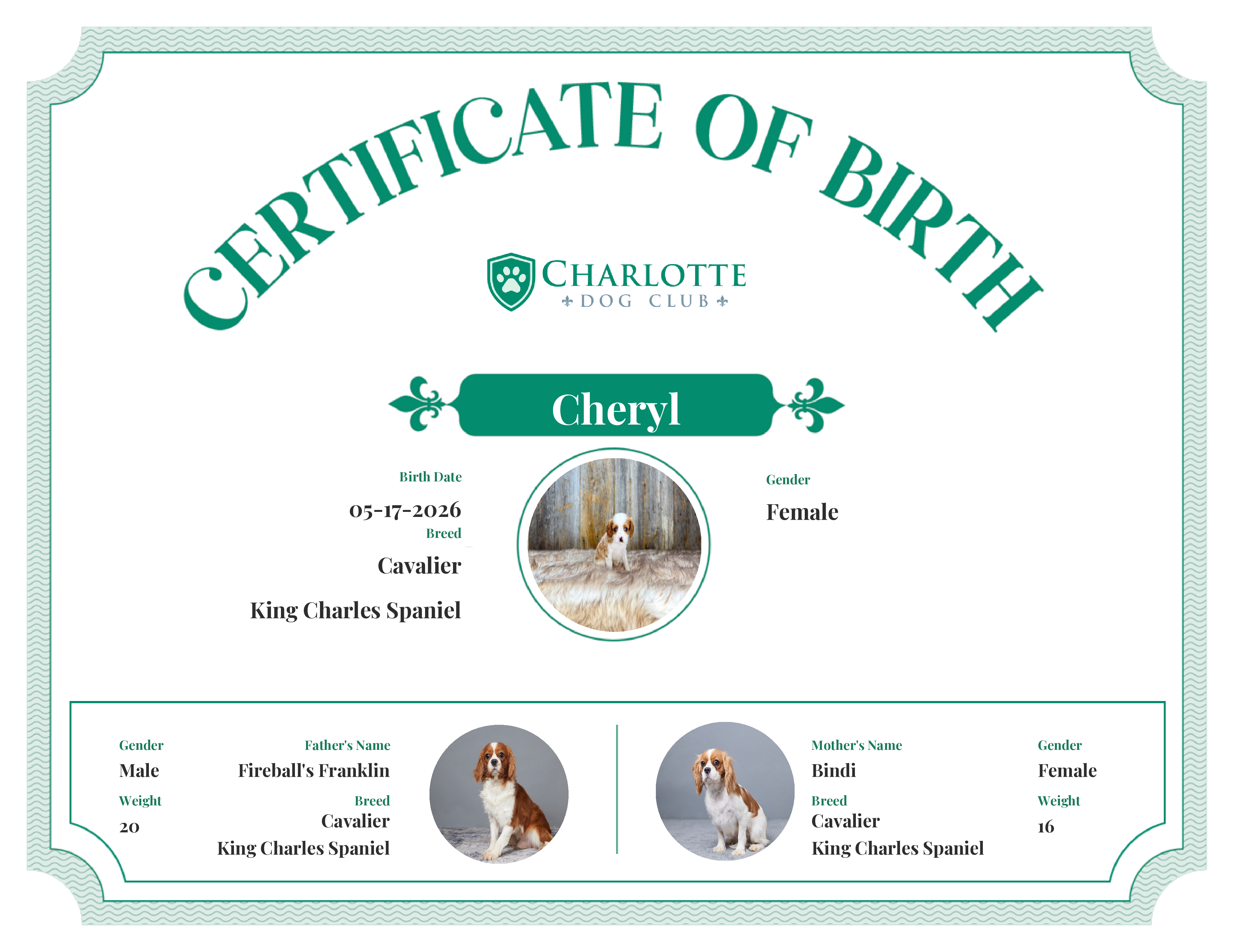 Cheryl's Birth Certificate