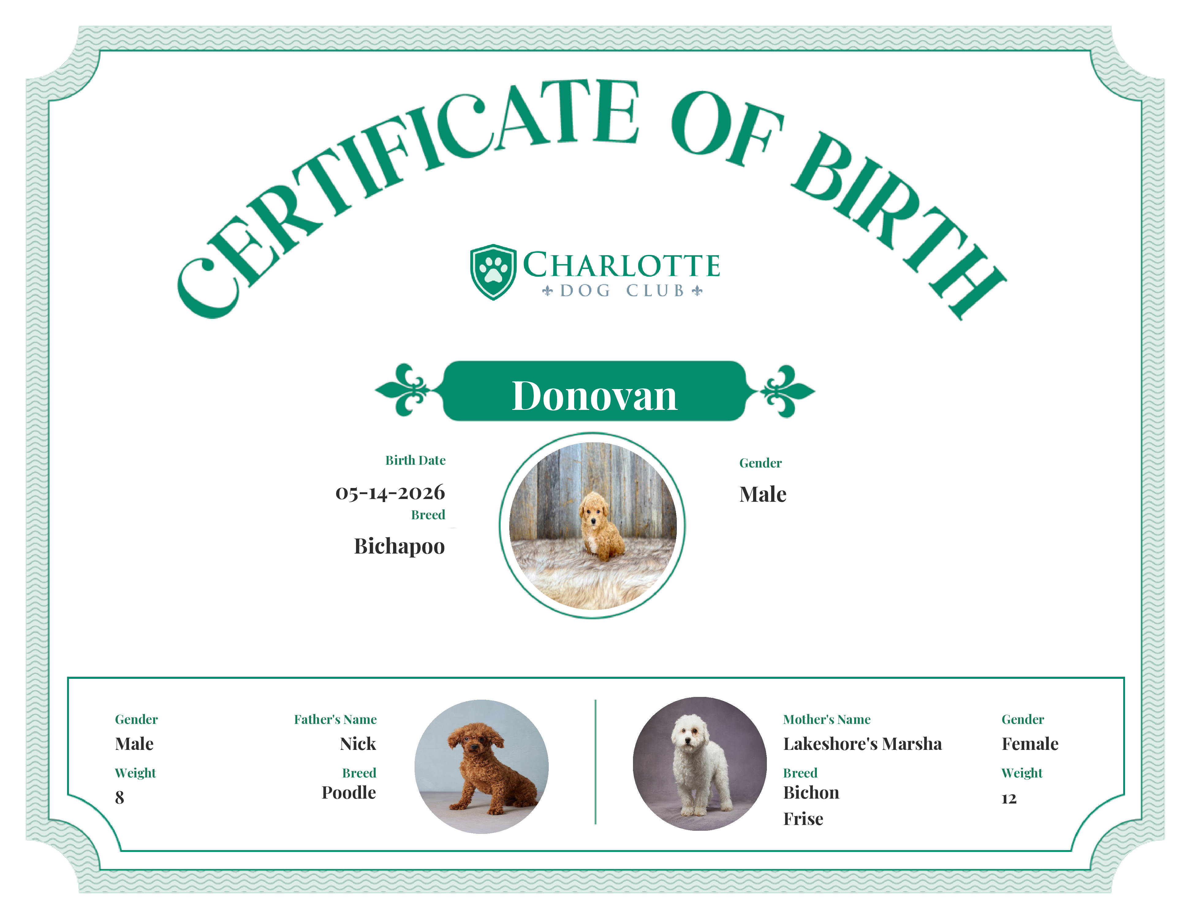 Donovan's Birth Certificate
