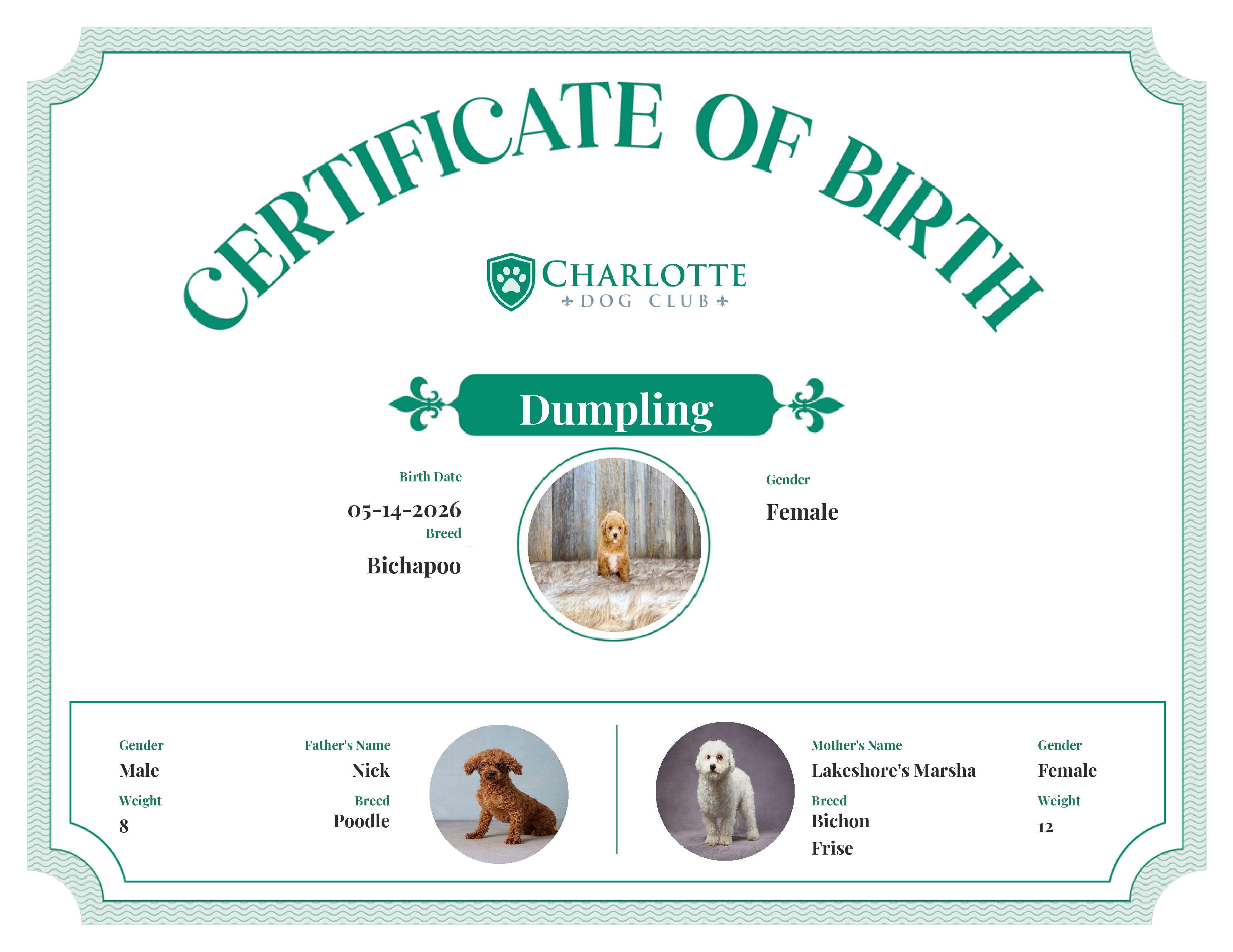 Dumpling's Birth Certificate