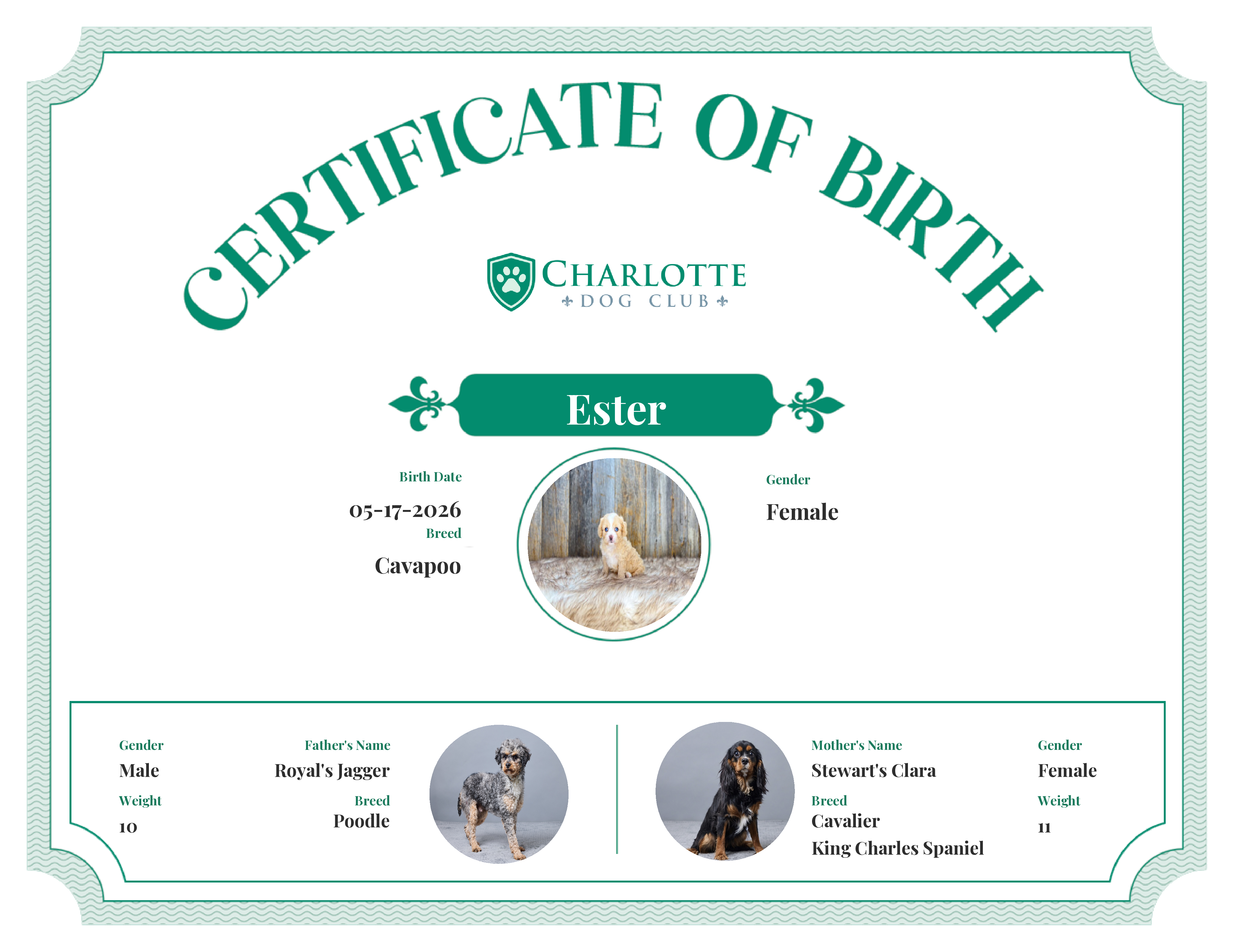 Ester's Birth Certificate