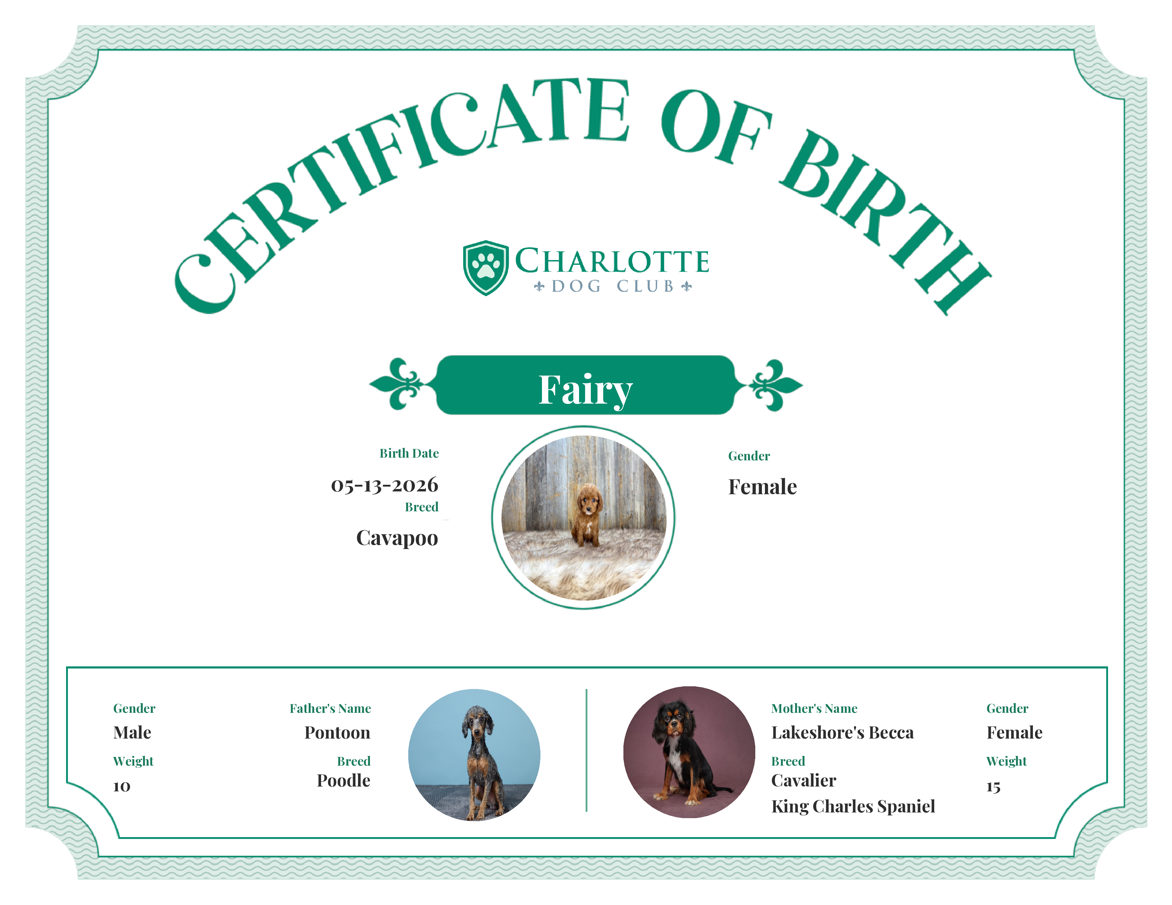 Fairy's Birth Certificate