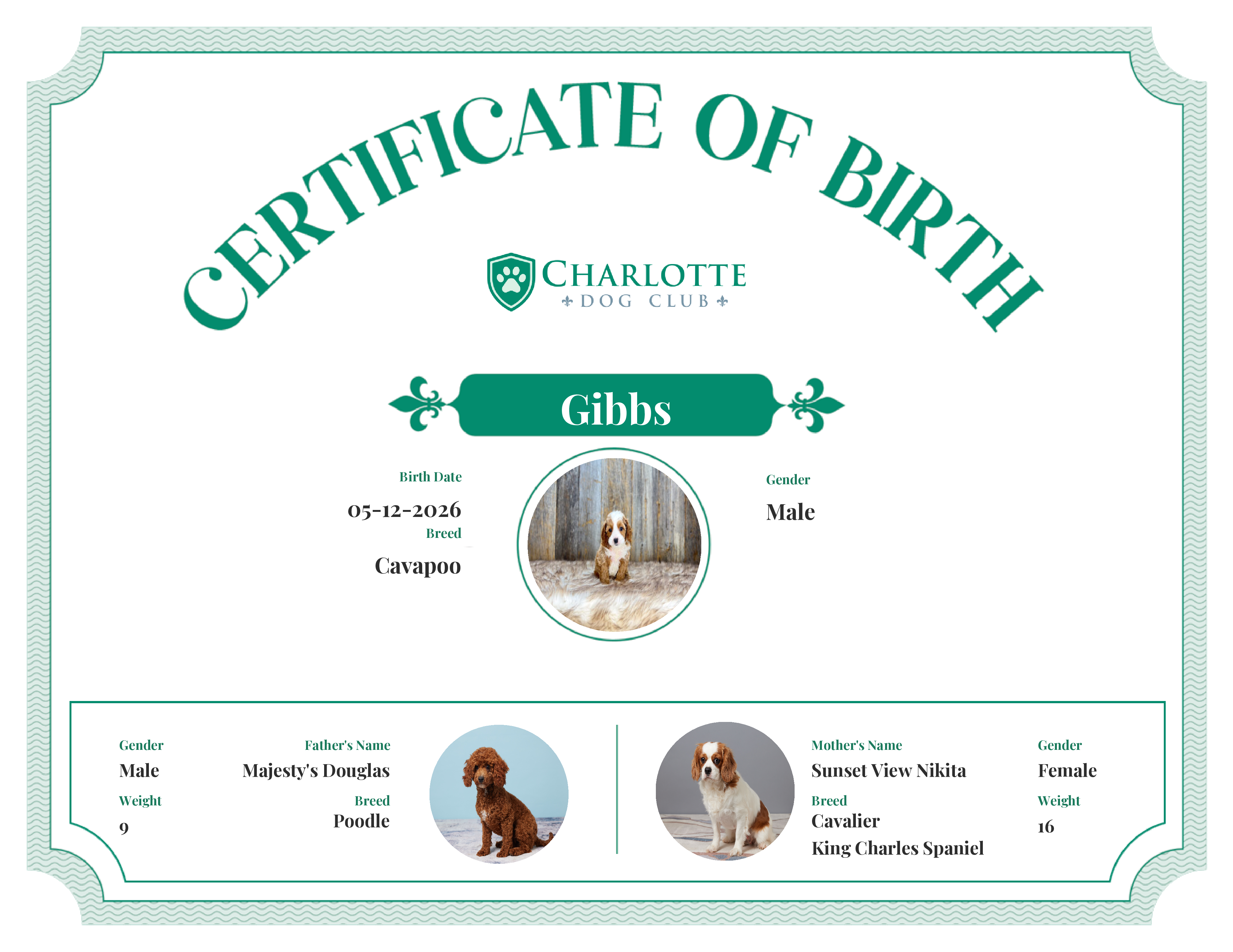 Gibbs's Birth Certificate