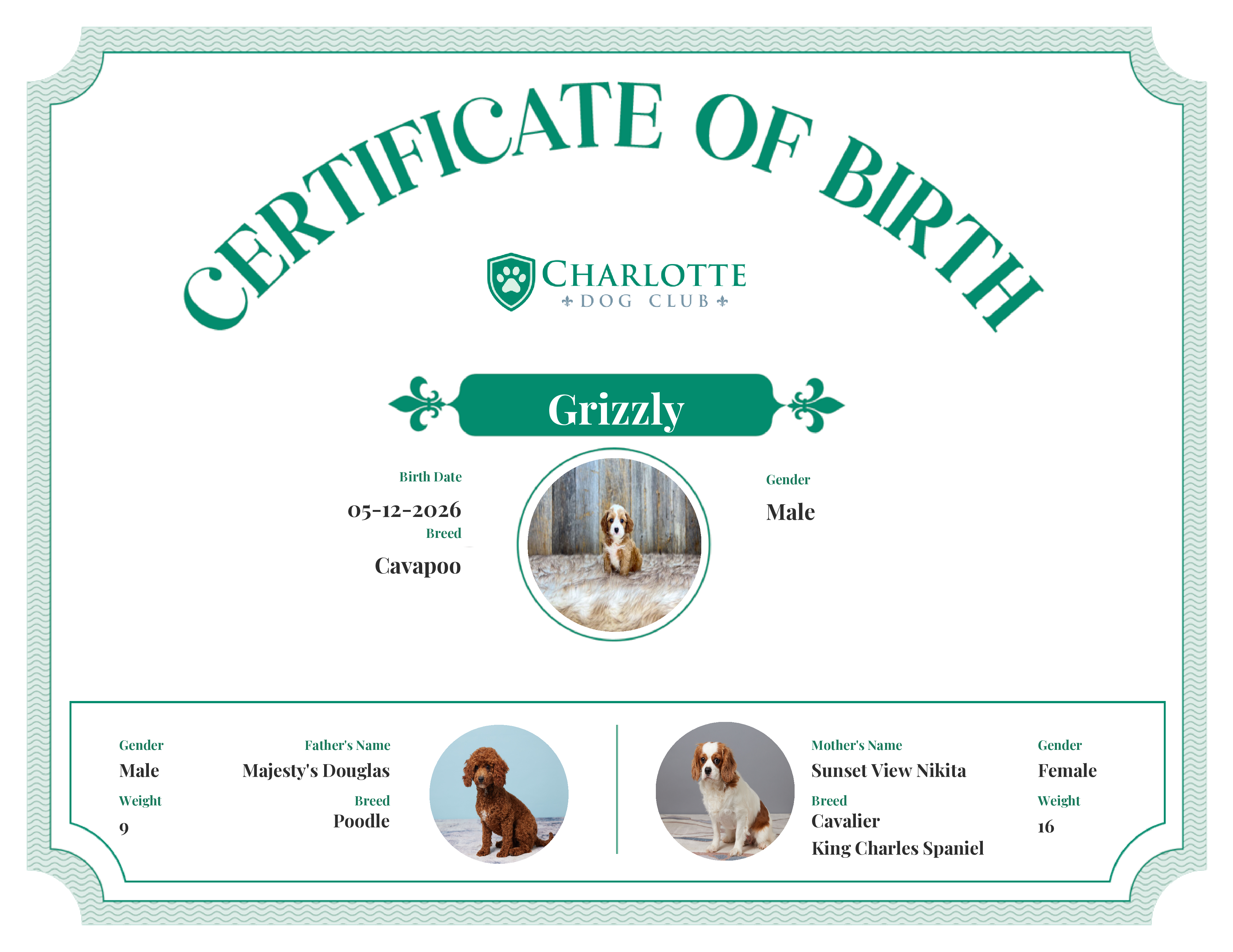 Grizzly's Birth Certificate