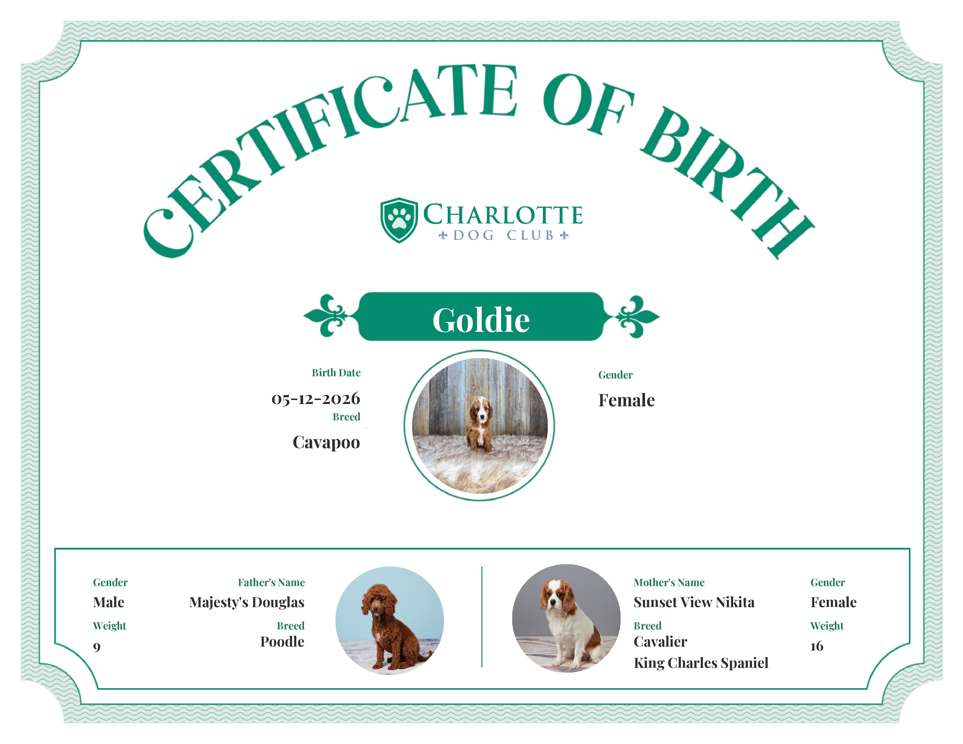 Goldie's Birth Certificate