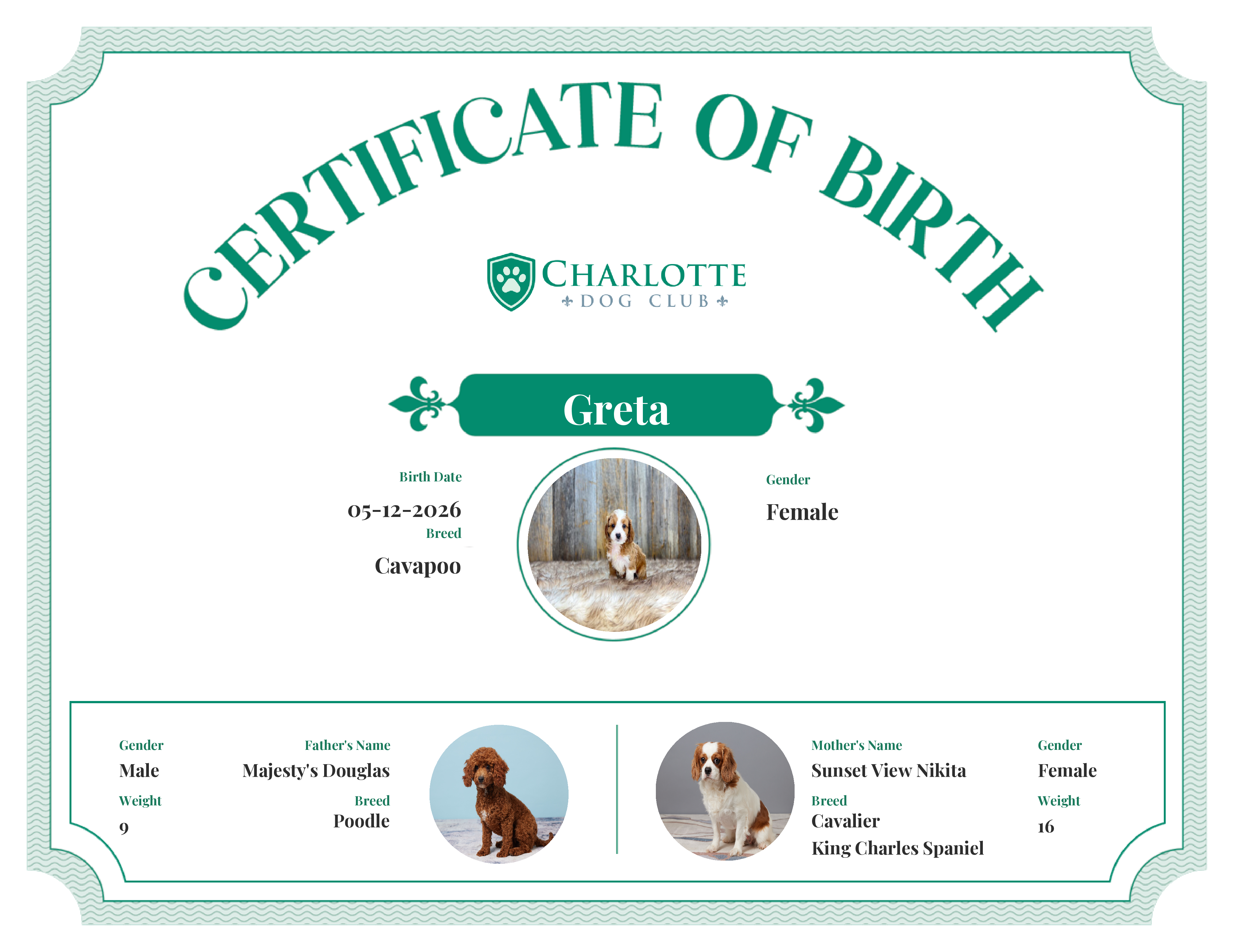 Greta's Birth Certificate