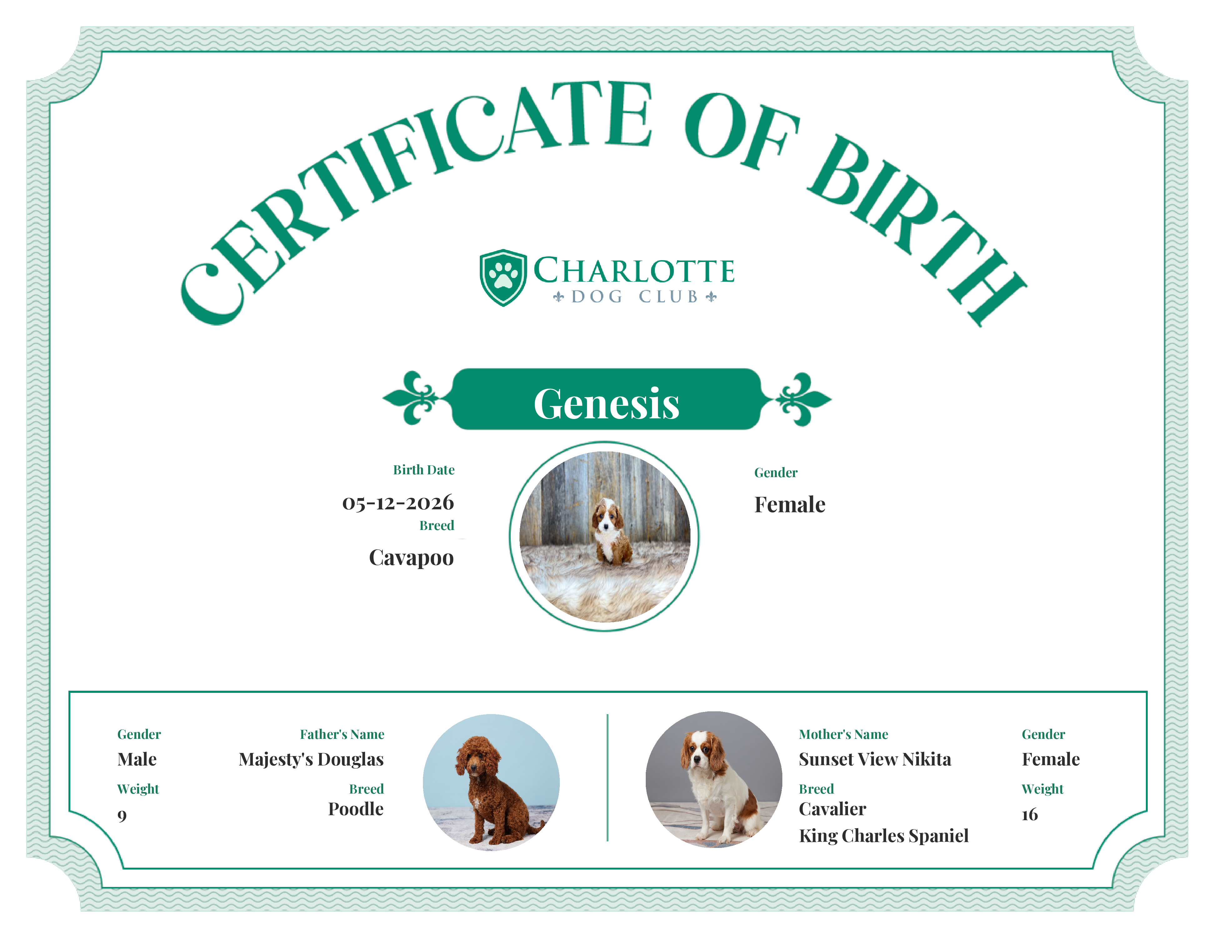 Genesis's Birth Certificate
