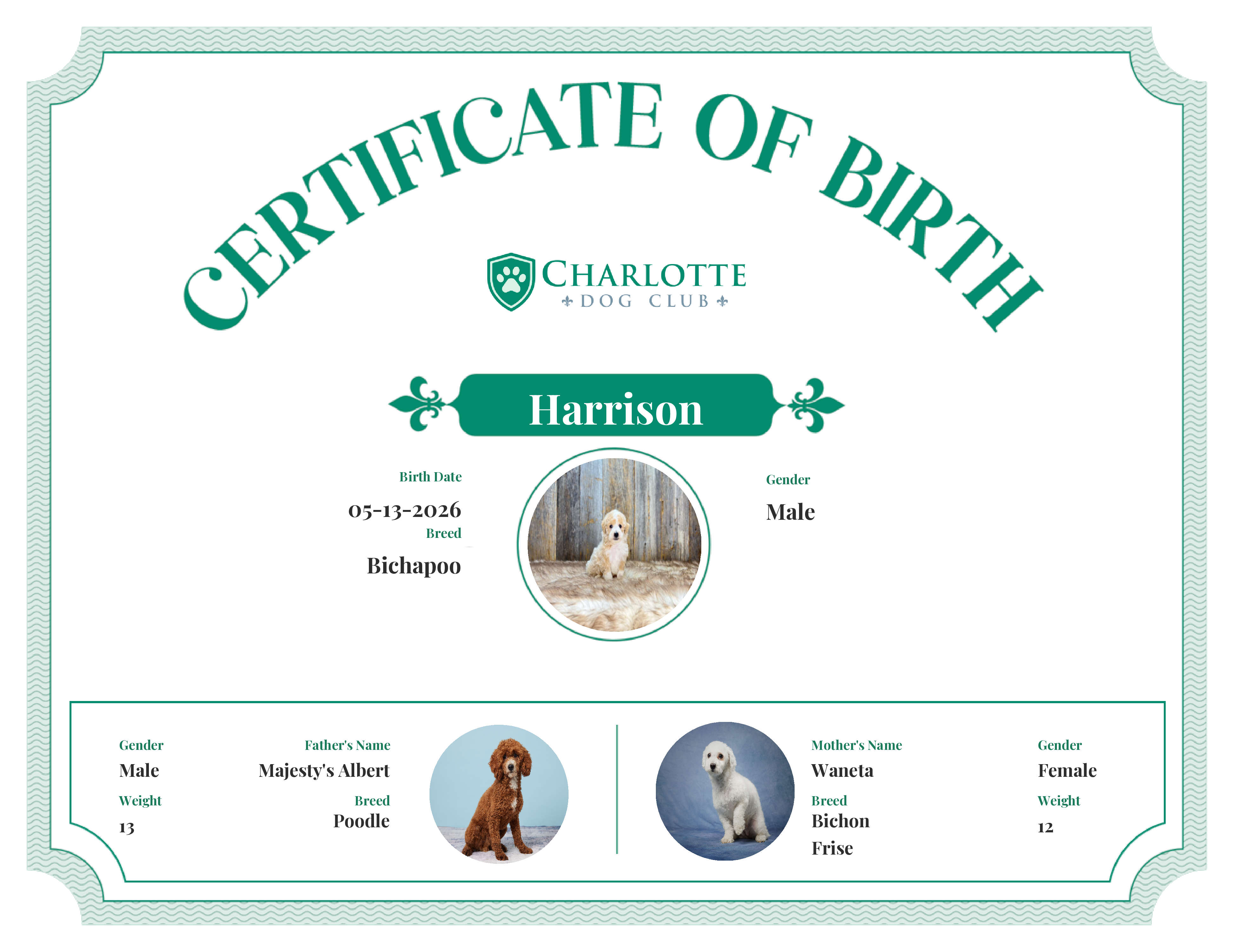 Harrison's Birth Certificate