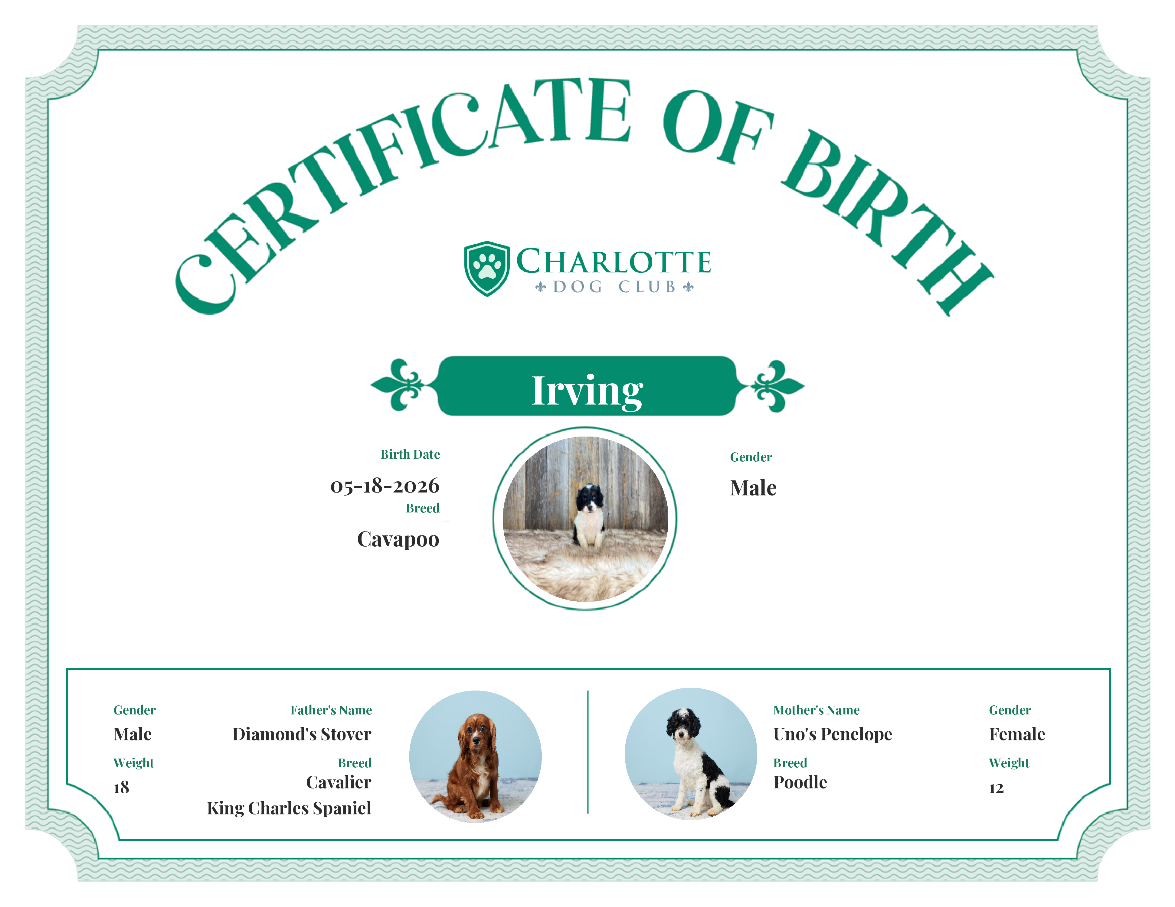 Irving's Birth Certificate