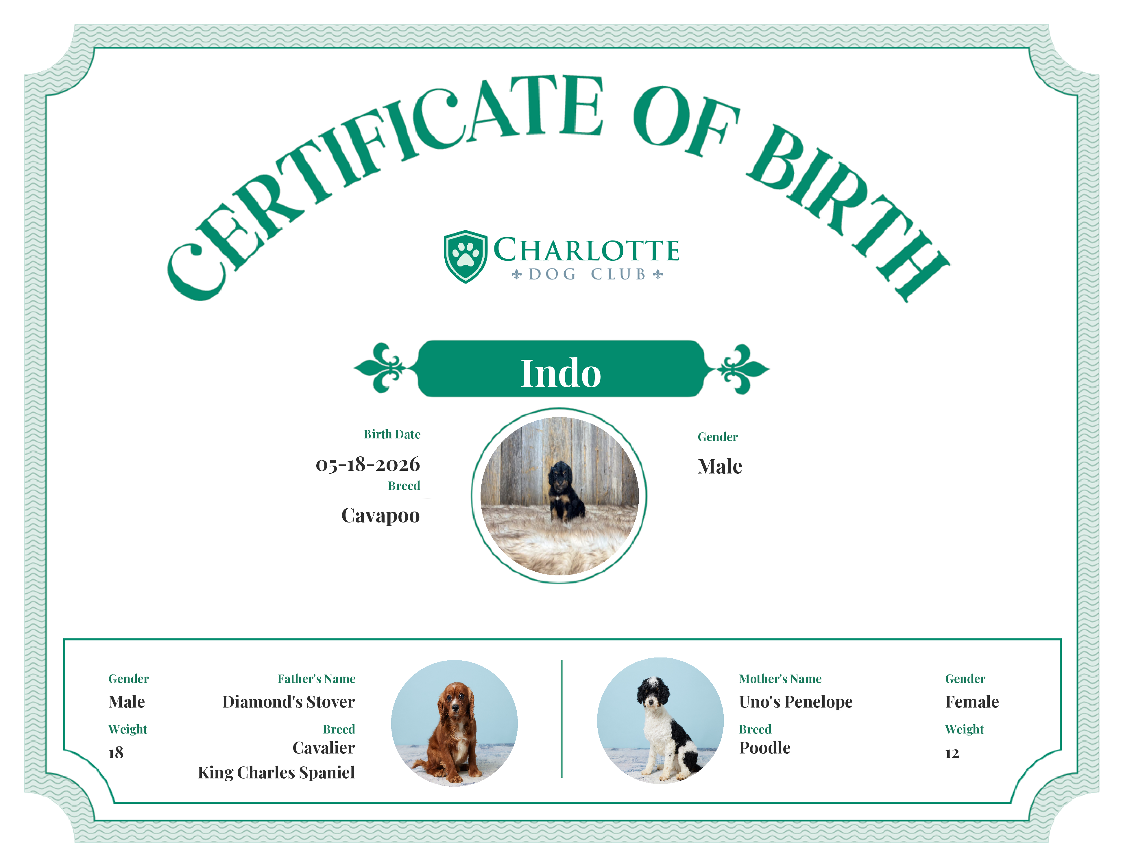 Indo's Birth Certificate