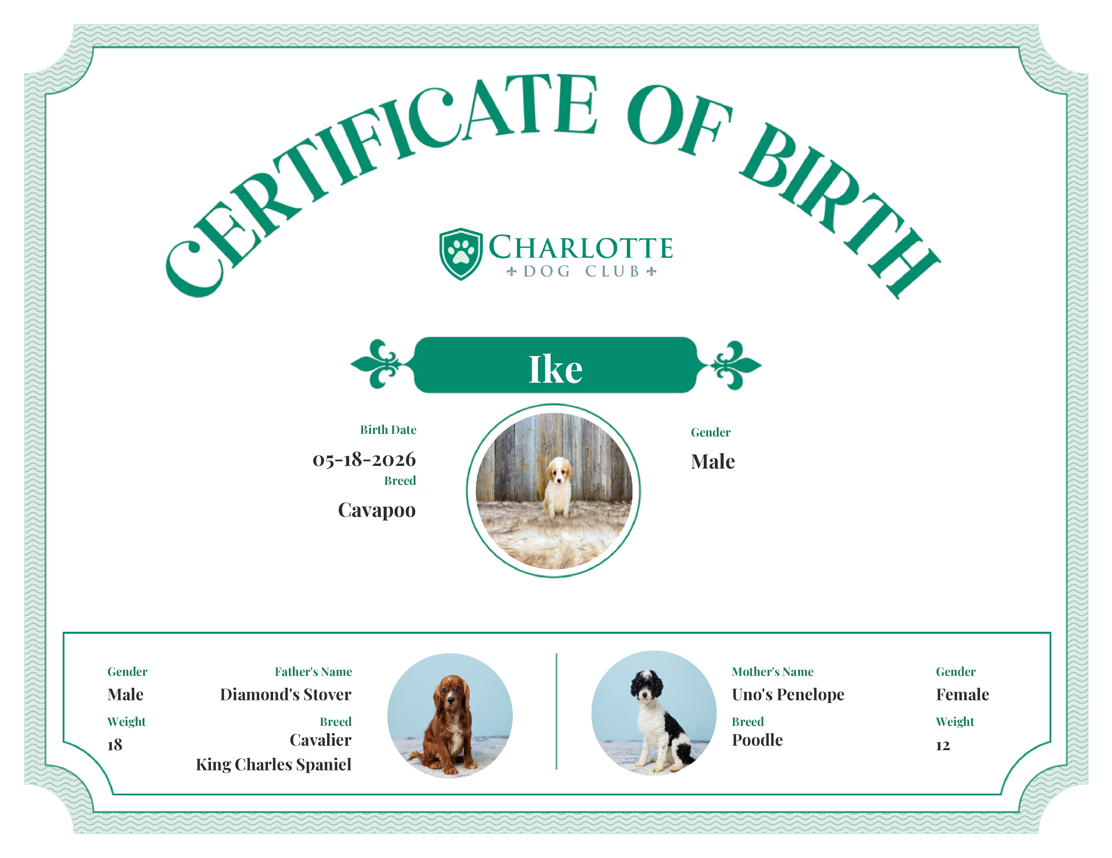 Ike's Birth Certificate
