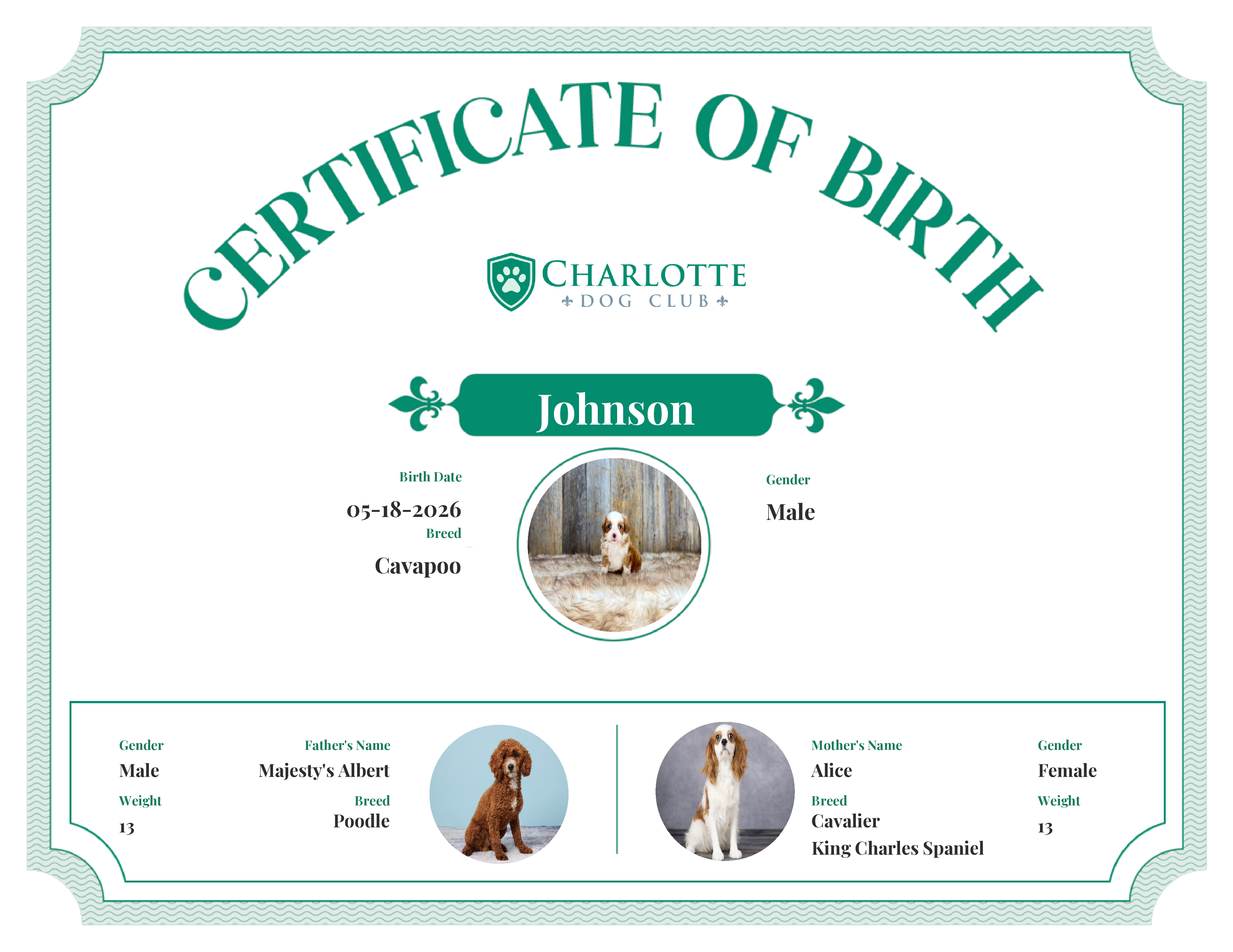 Johnson's Birth Certificate
