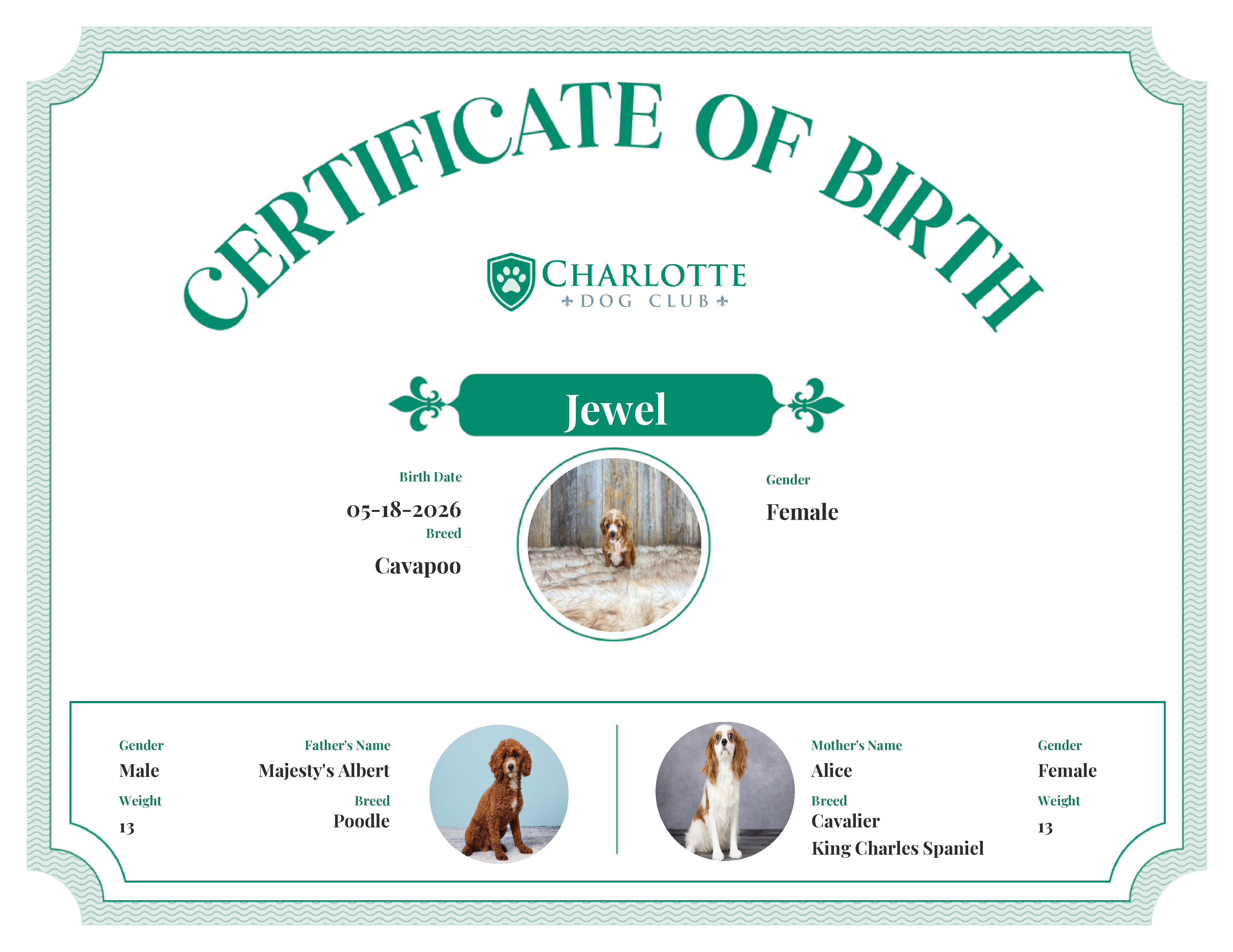 Jewel's Birth Certificate