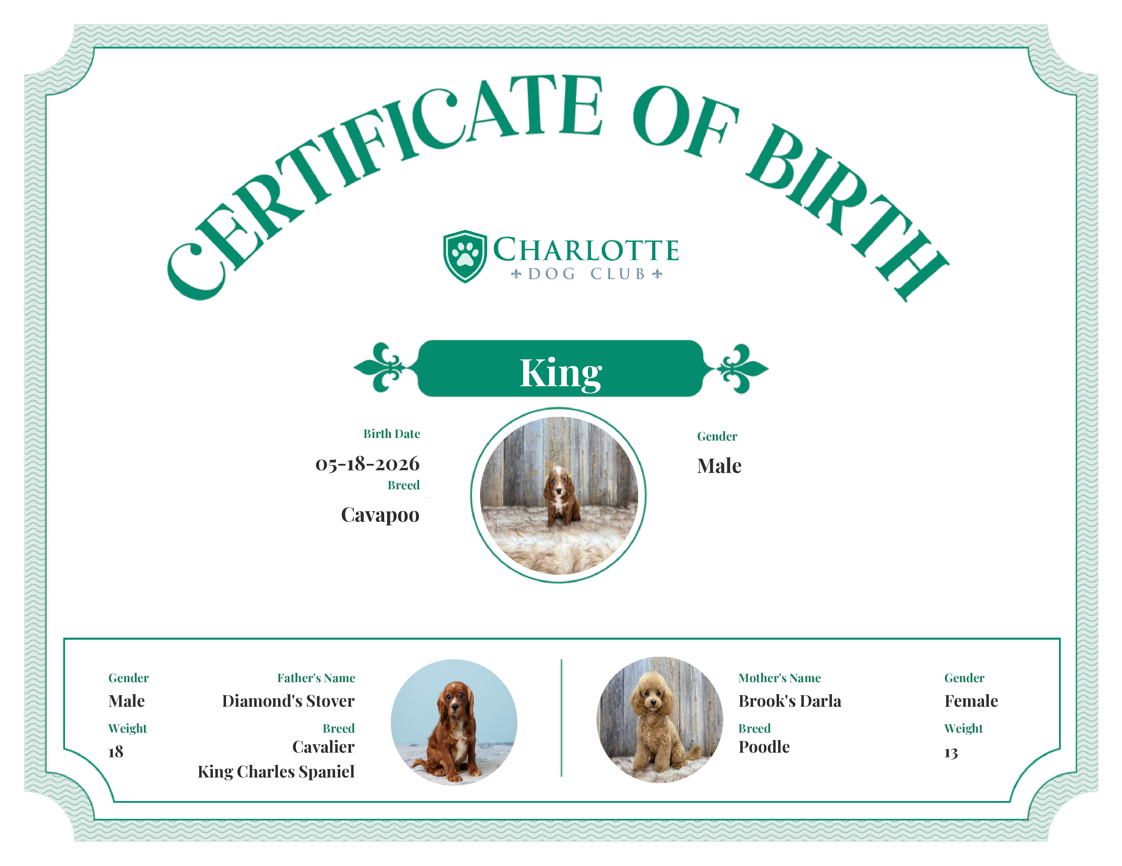 King's Birth Certificate