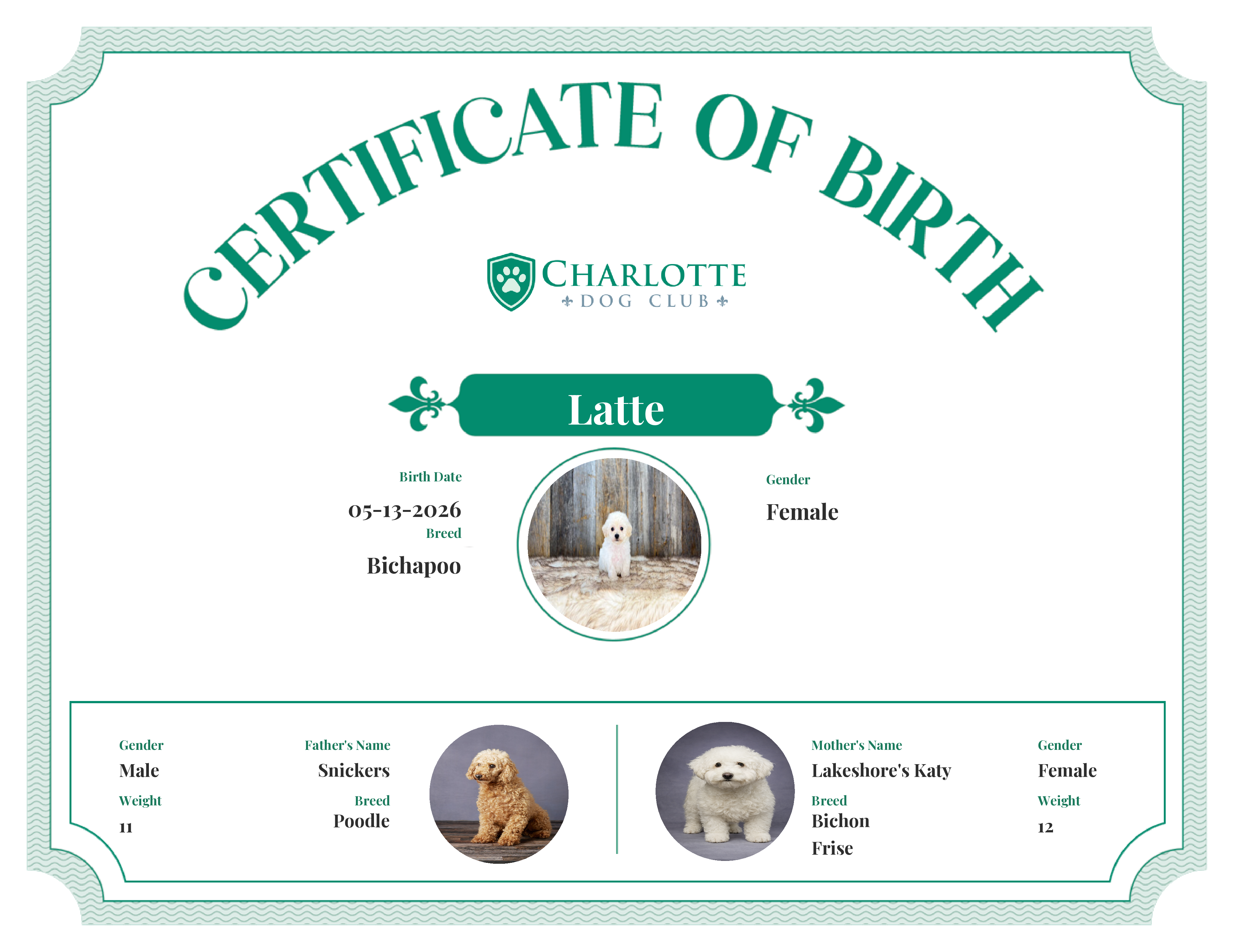 Latte's Birth Certificate