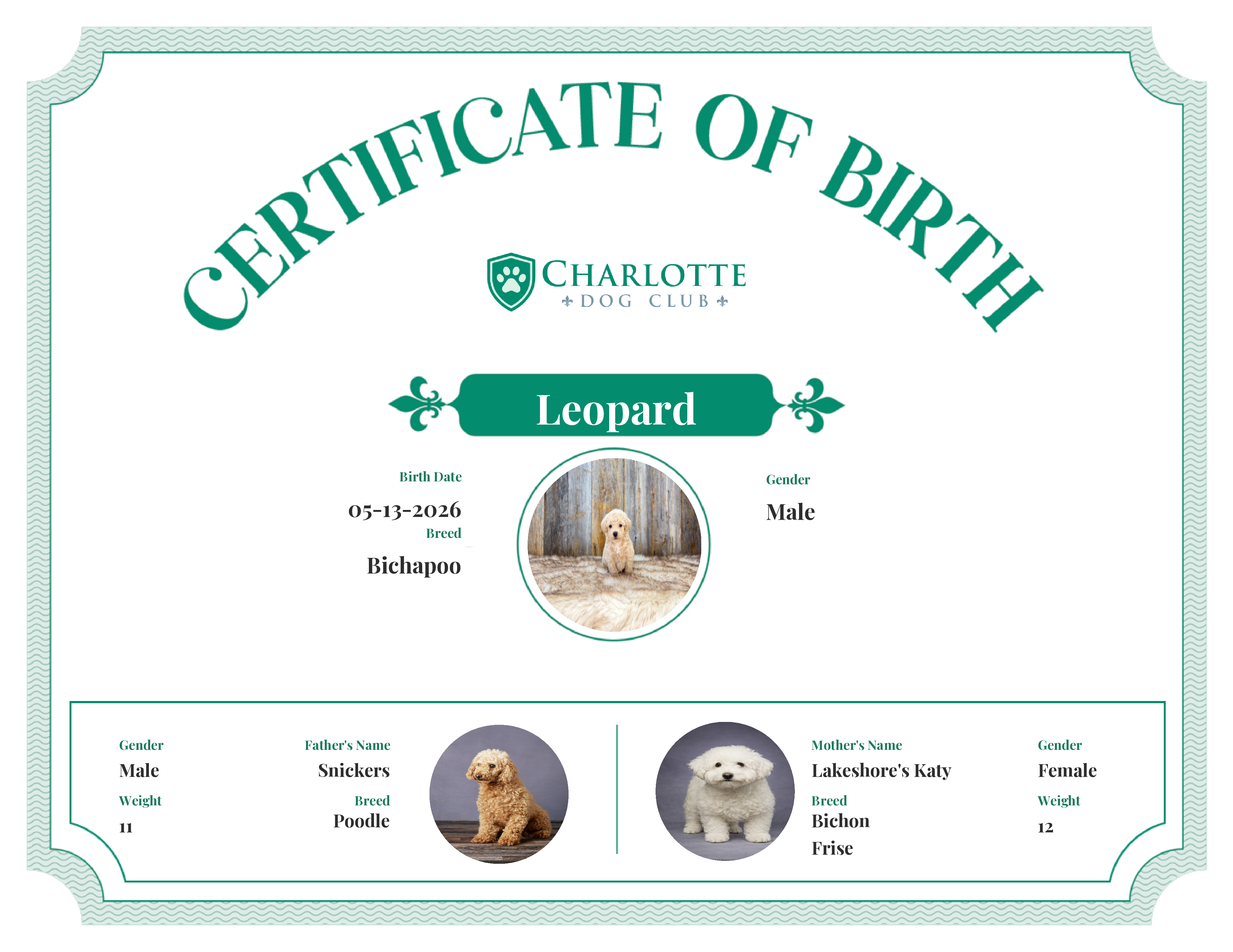 Leopard's Birth Certificate