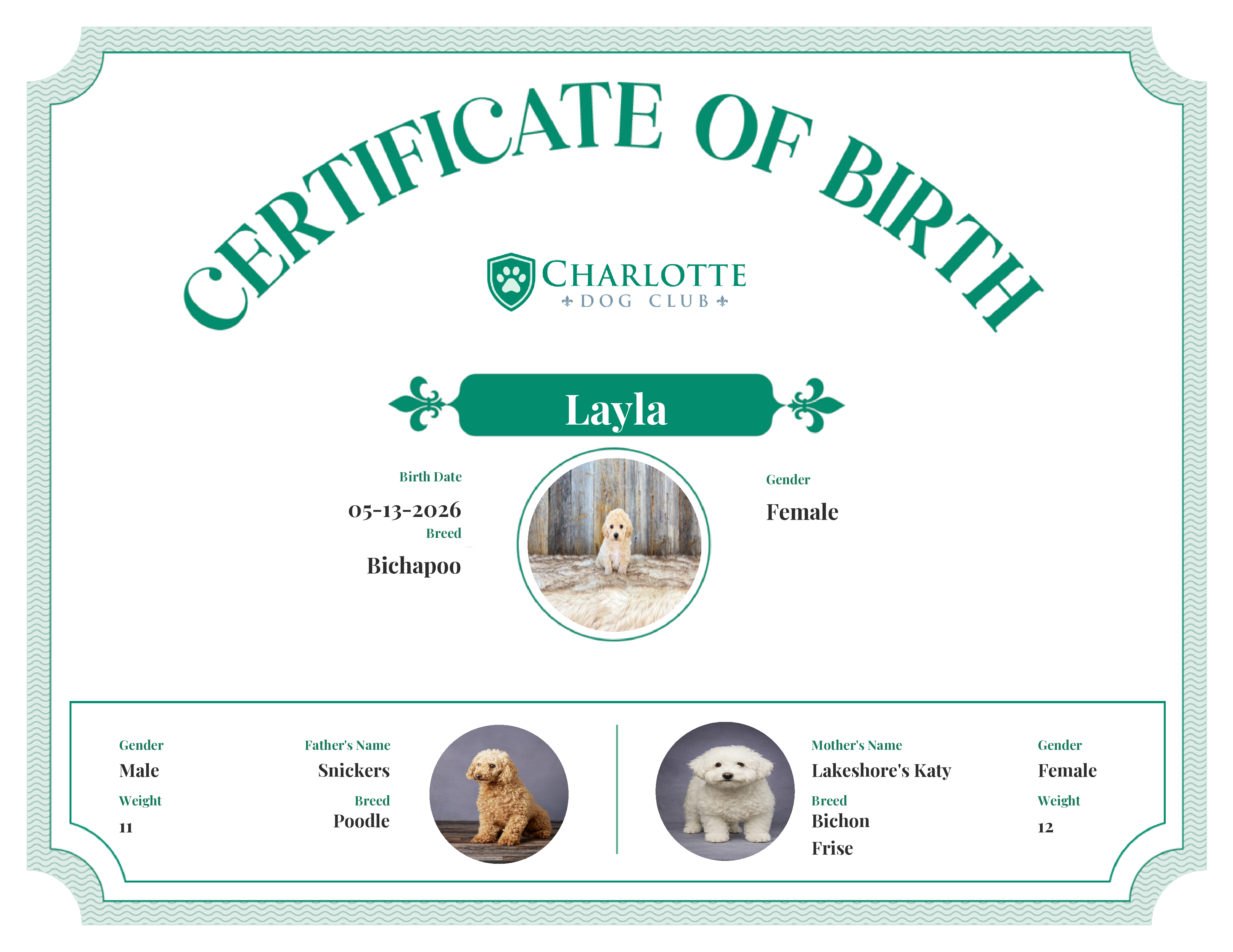 Layla's Birth Certificate