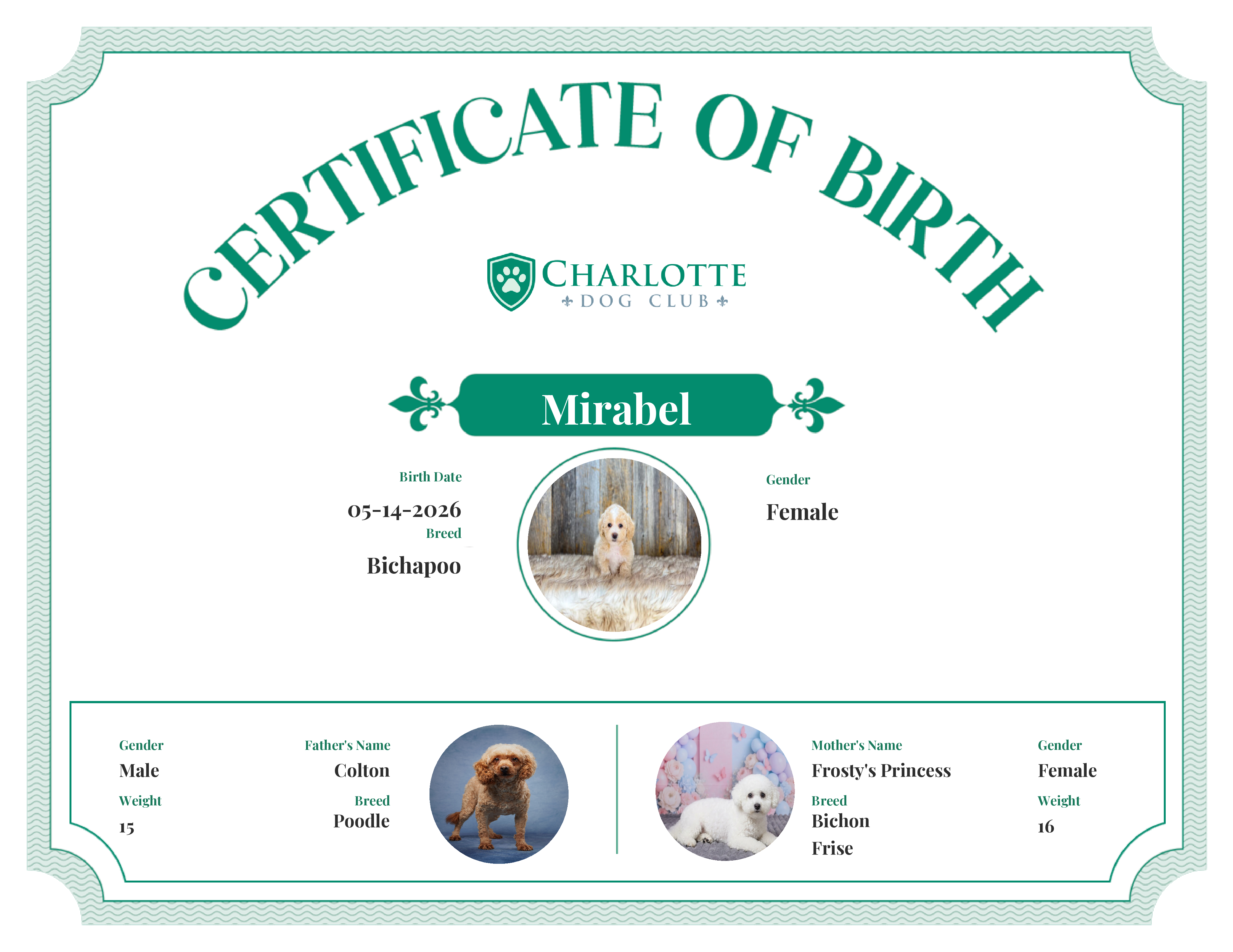 Mirabel's Birth Certificate