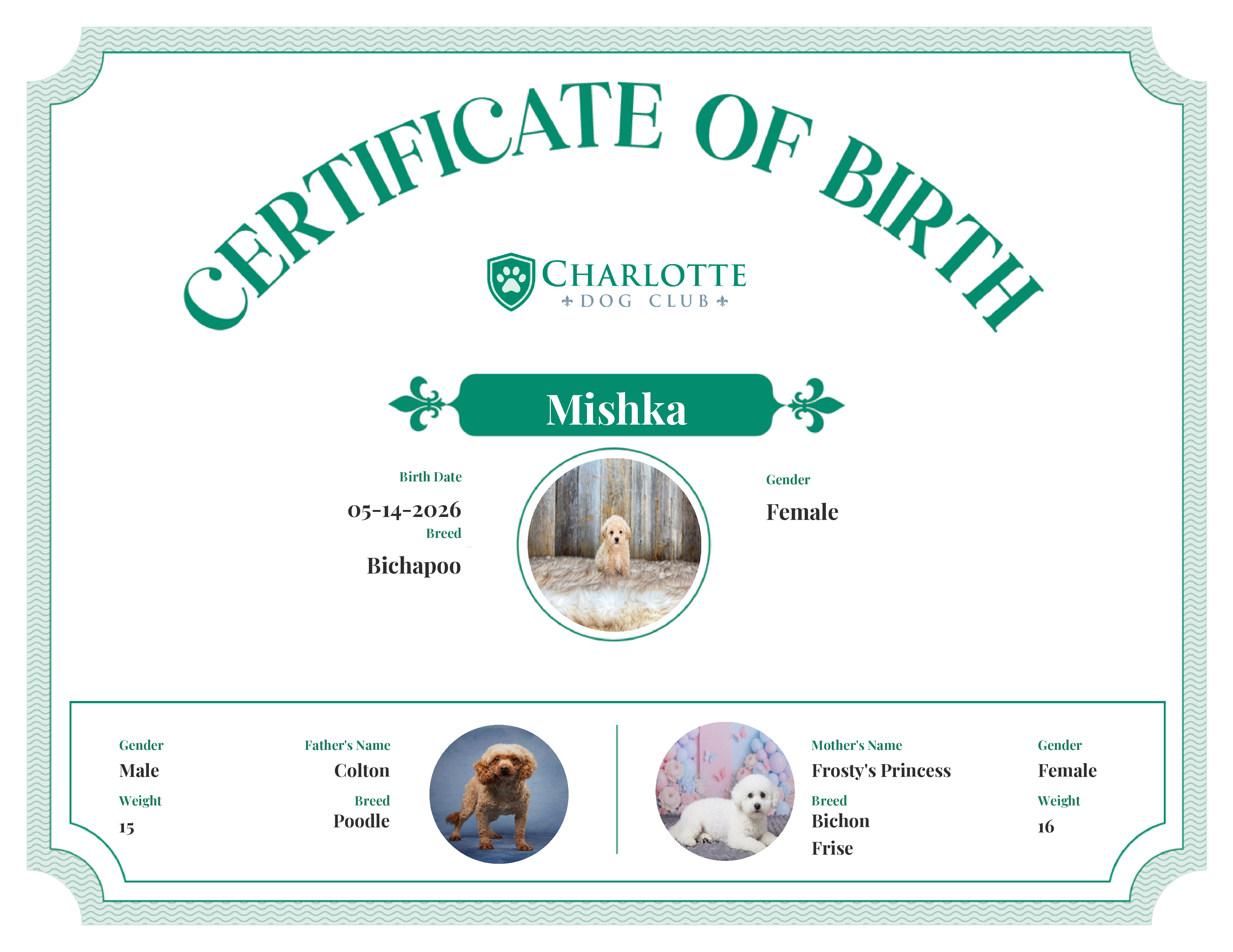 Mishka's Birth Certificate