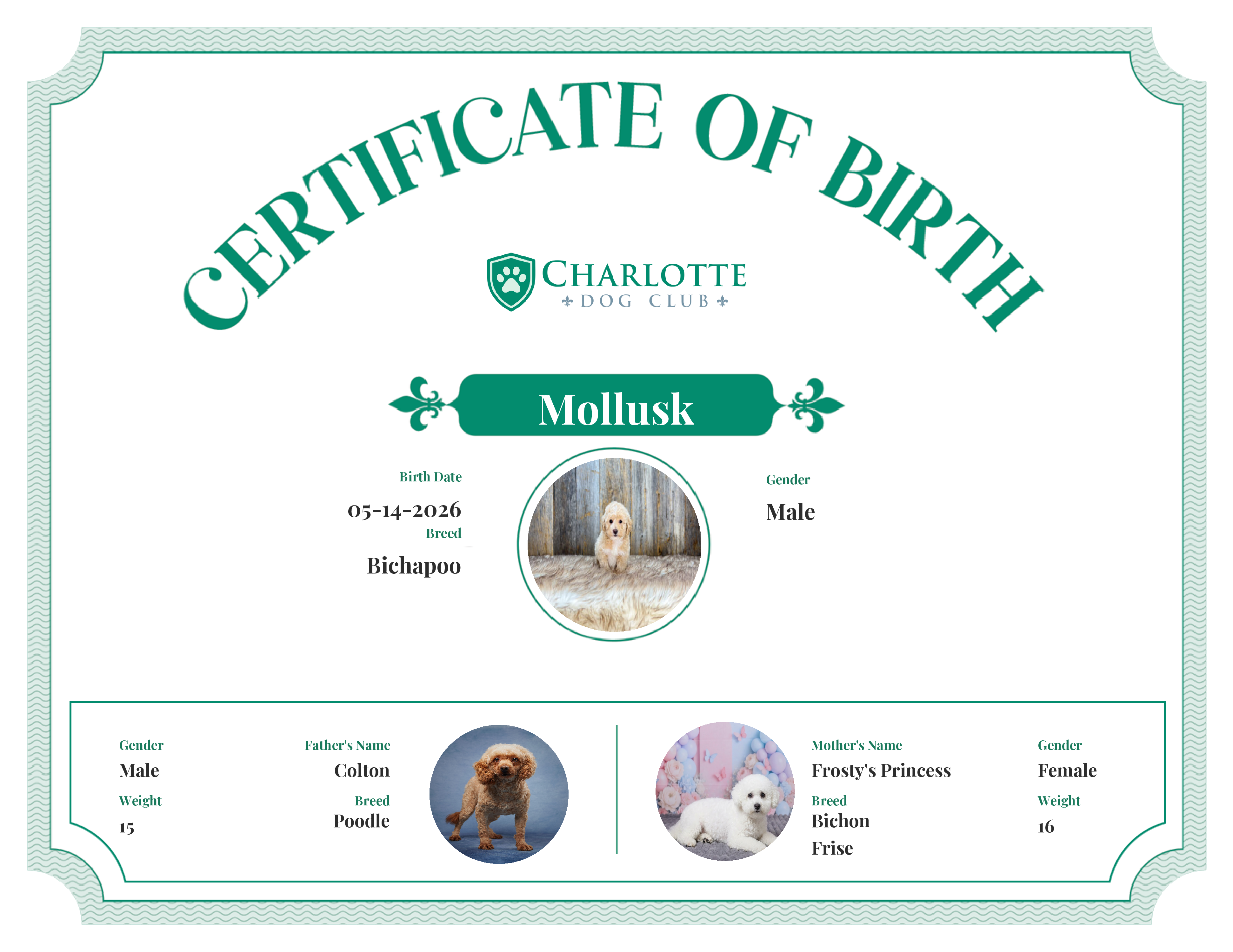 Mollusk's Birth Certificate