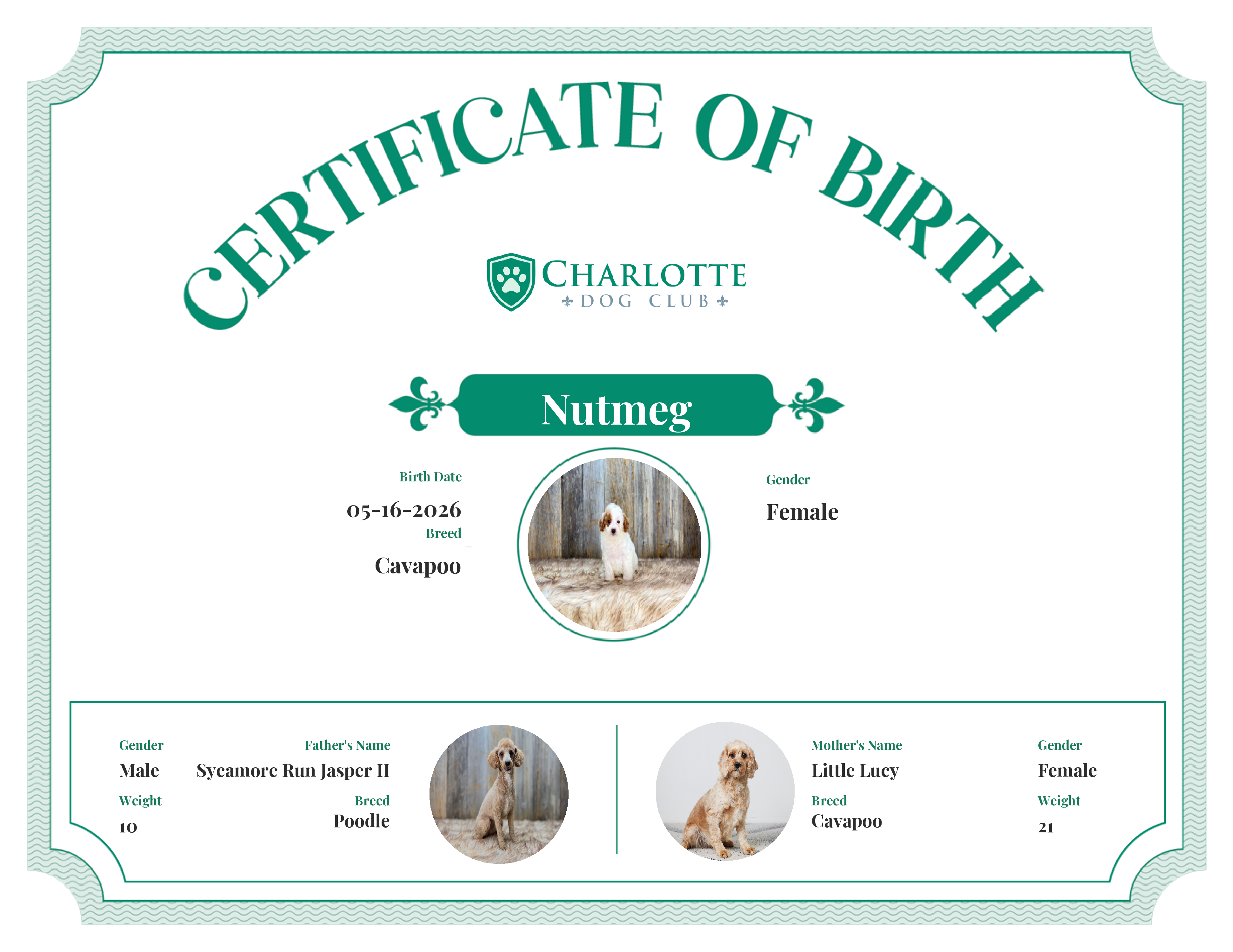 Nutmeg's Birth Certificate