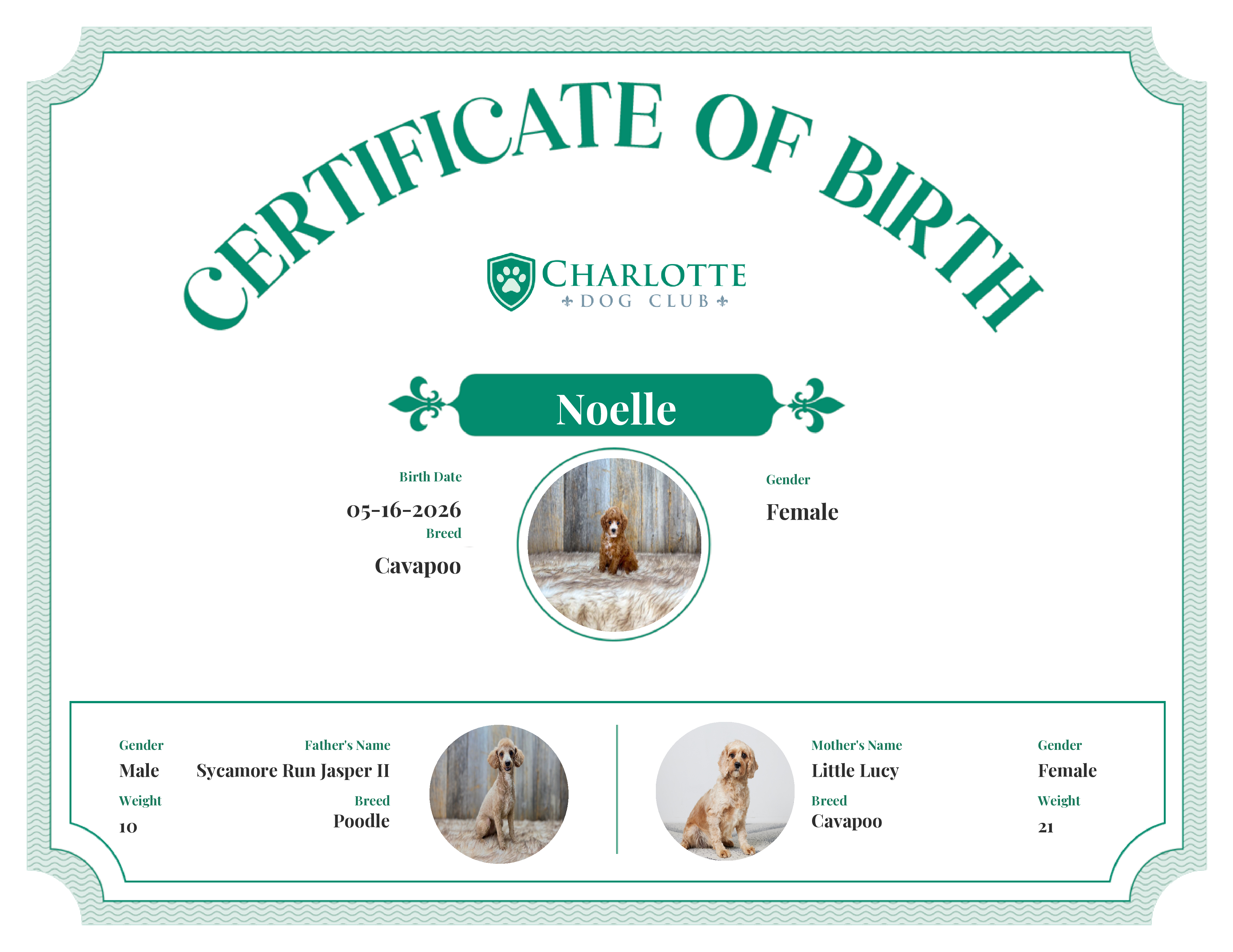 Noelle's Birth Certificate