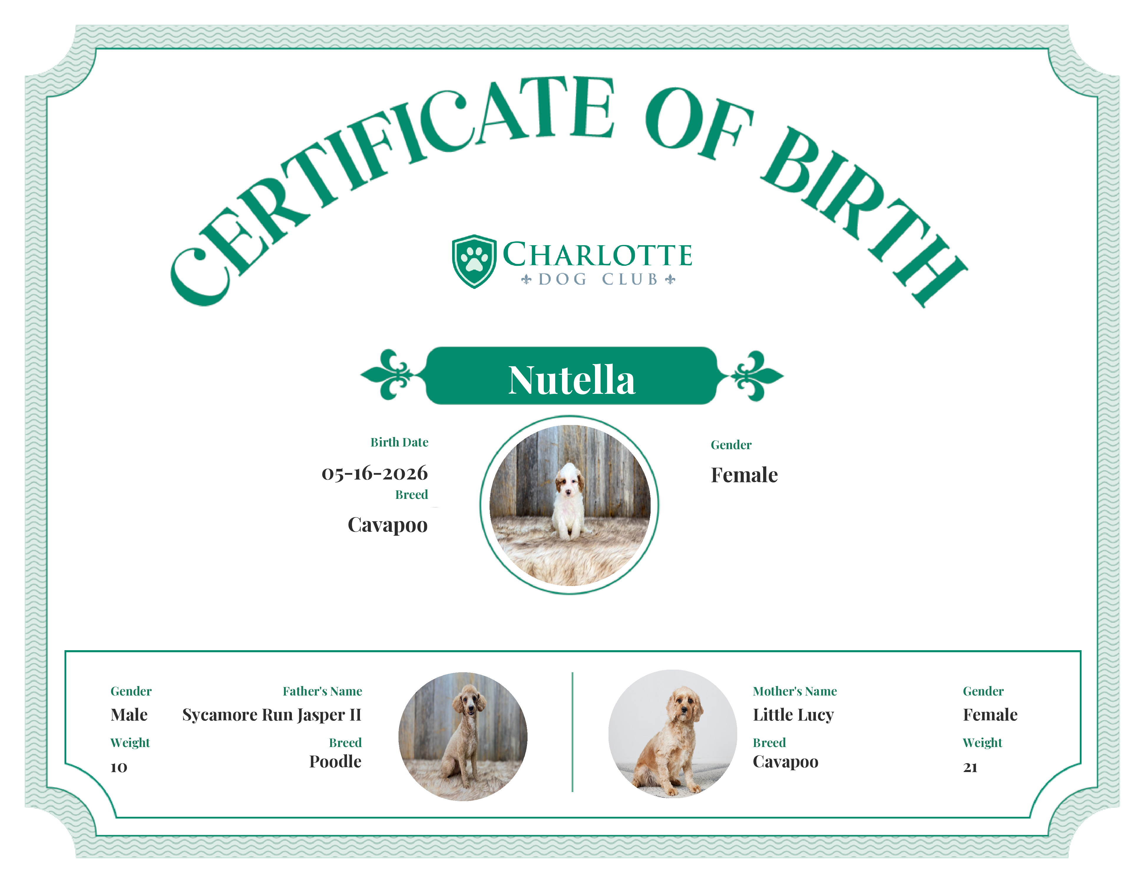 Nutella's Birth Certificate