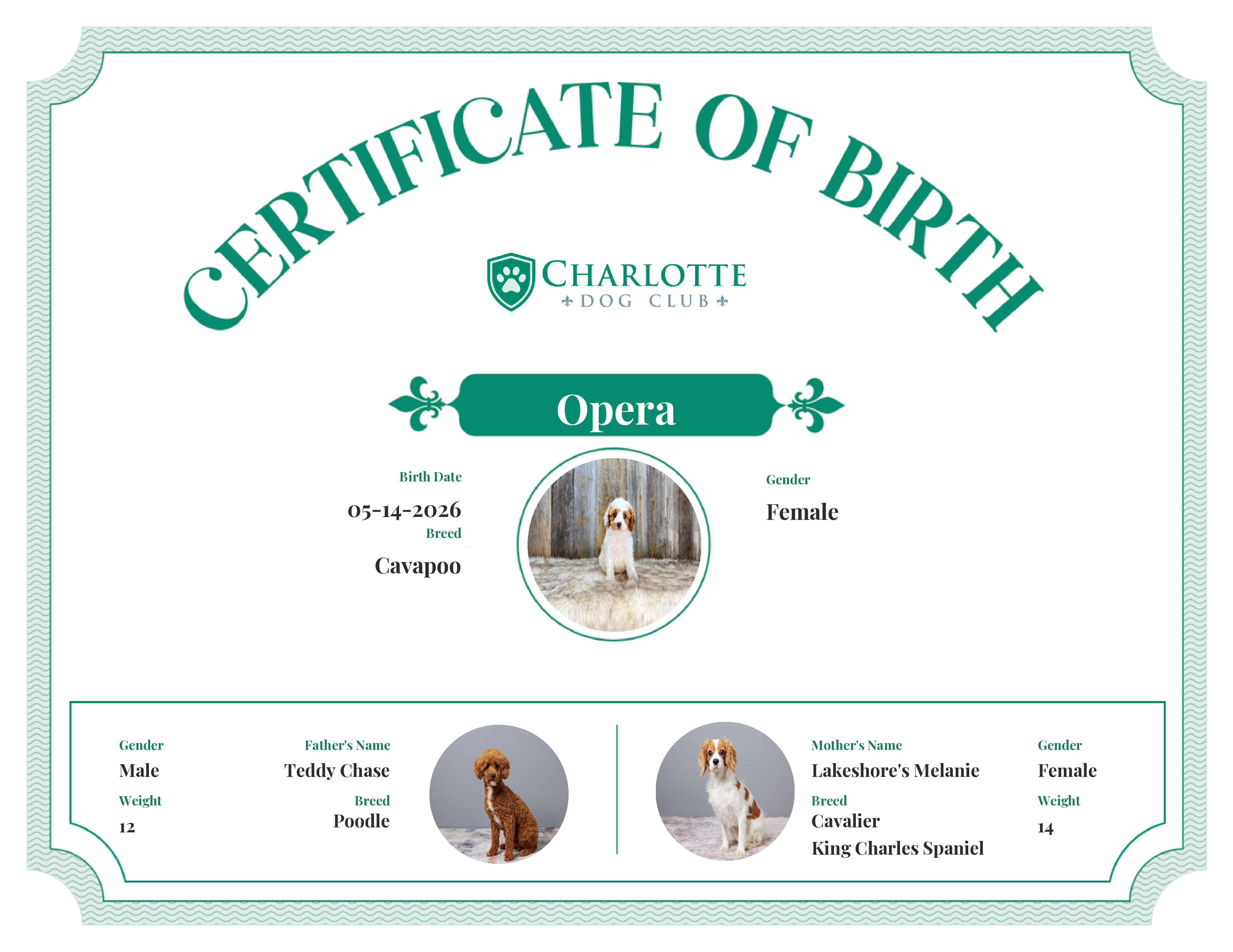 Opera's Birth Certificate