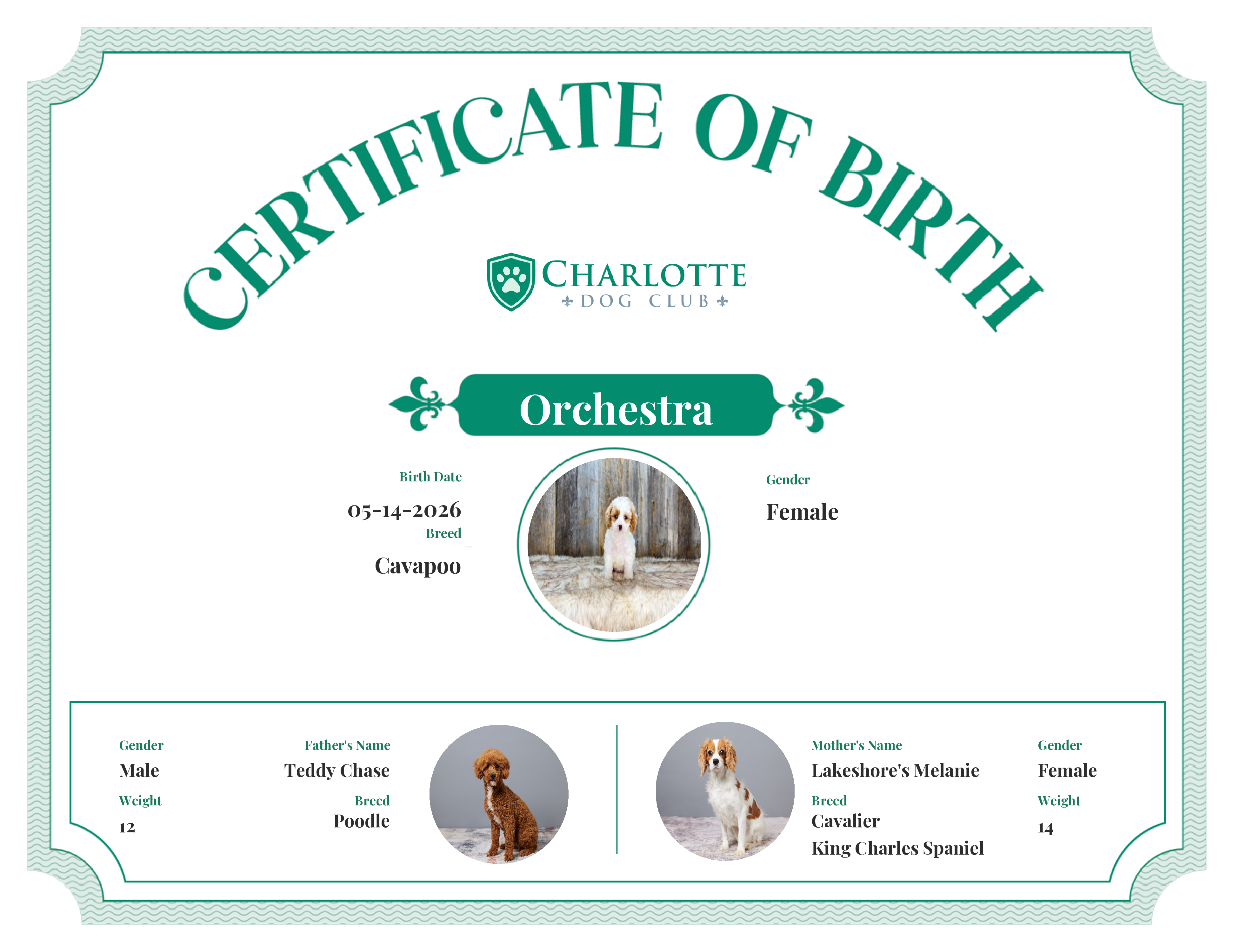 Orchestra's Birth Certificate