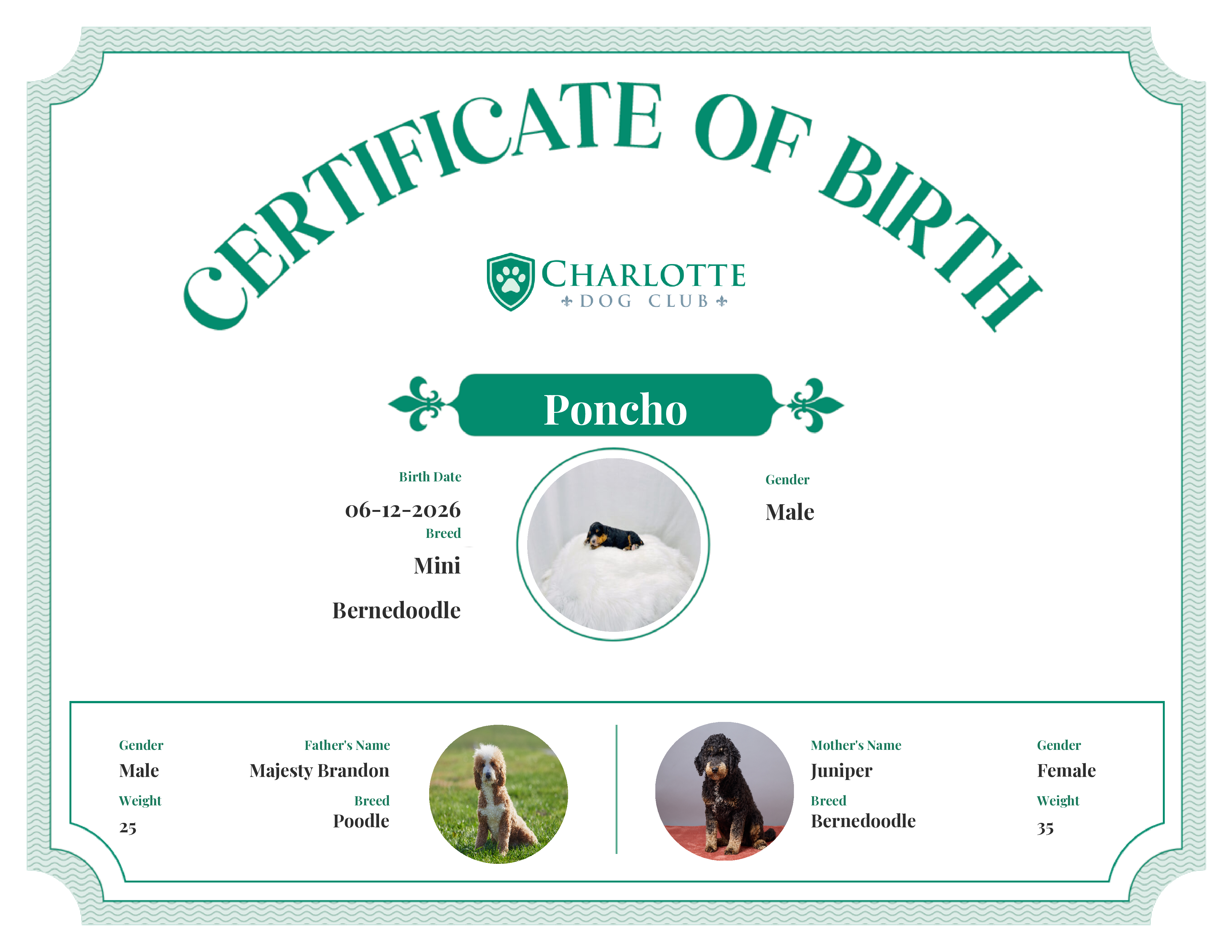 Poncho's Birth Certificate