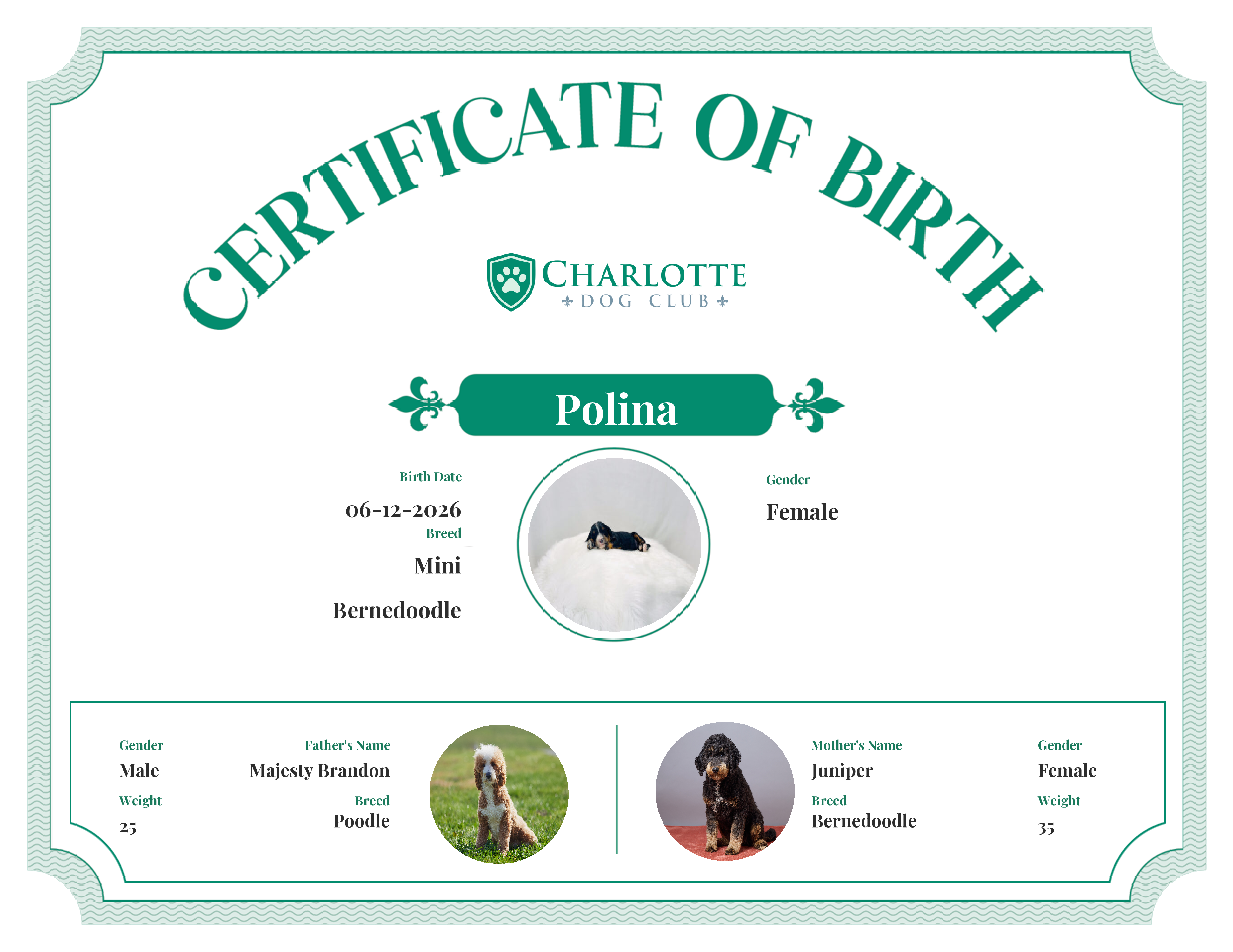 Polina's Birth Certificate