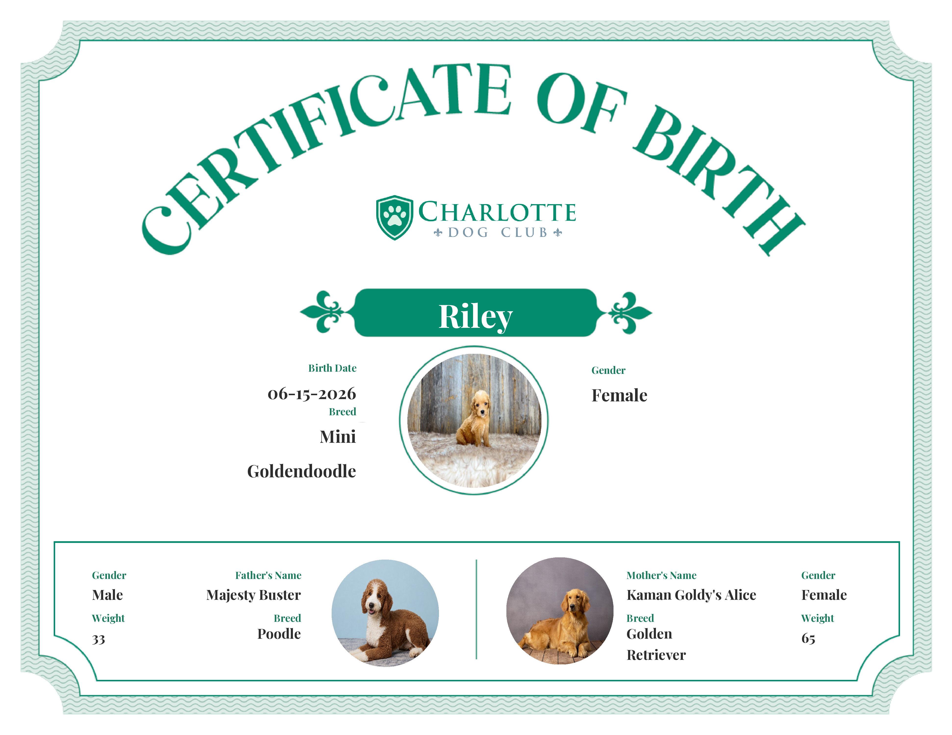 Riley's Birth Certificate