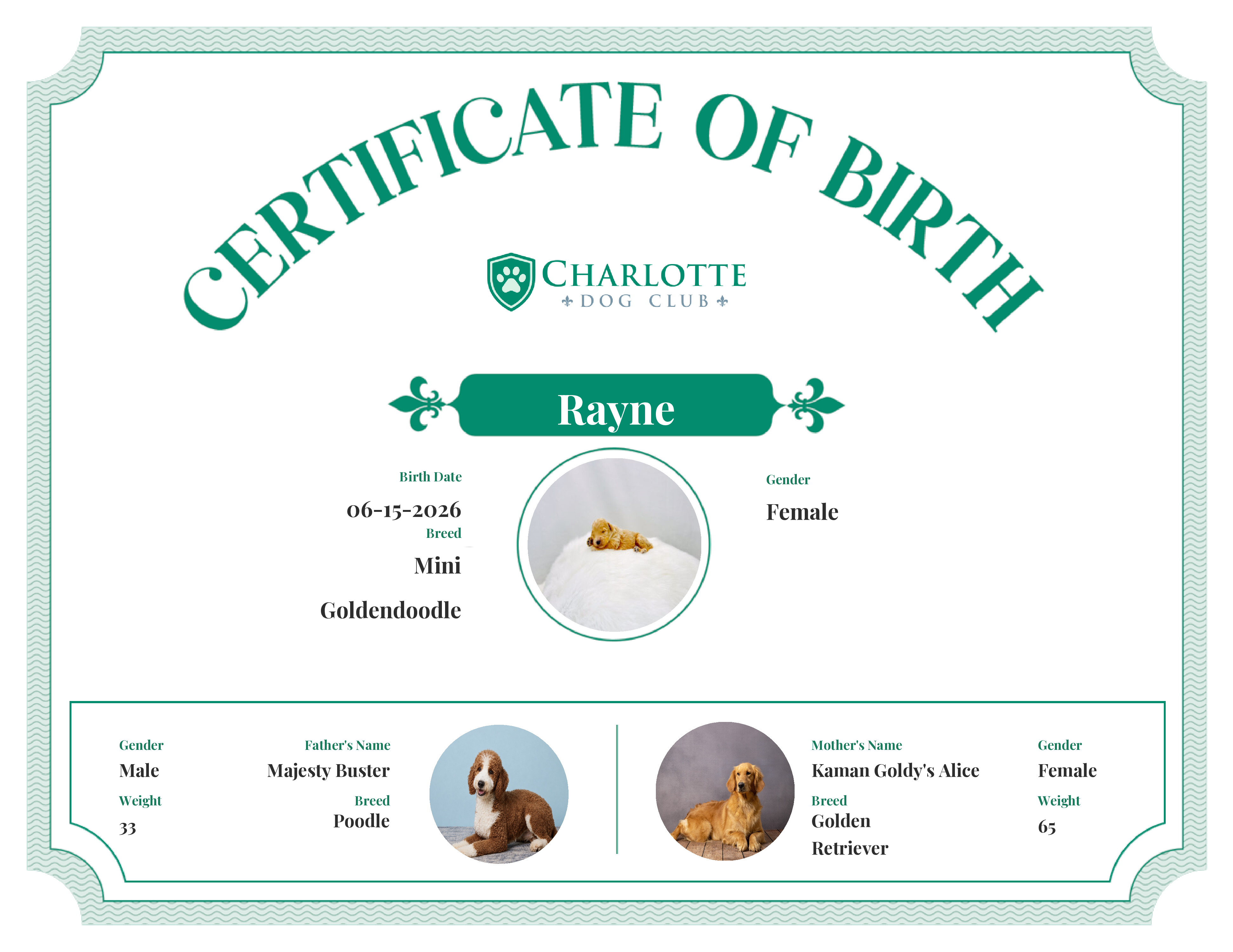 Rayne's Birth Certificate
