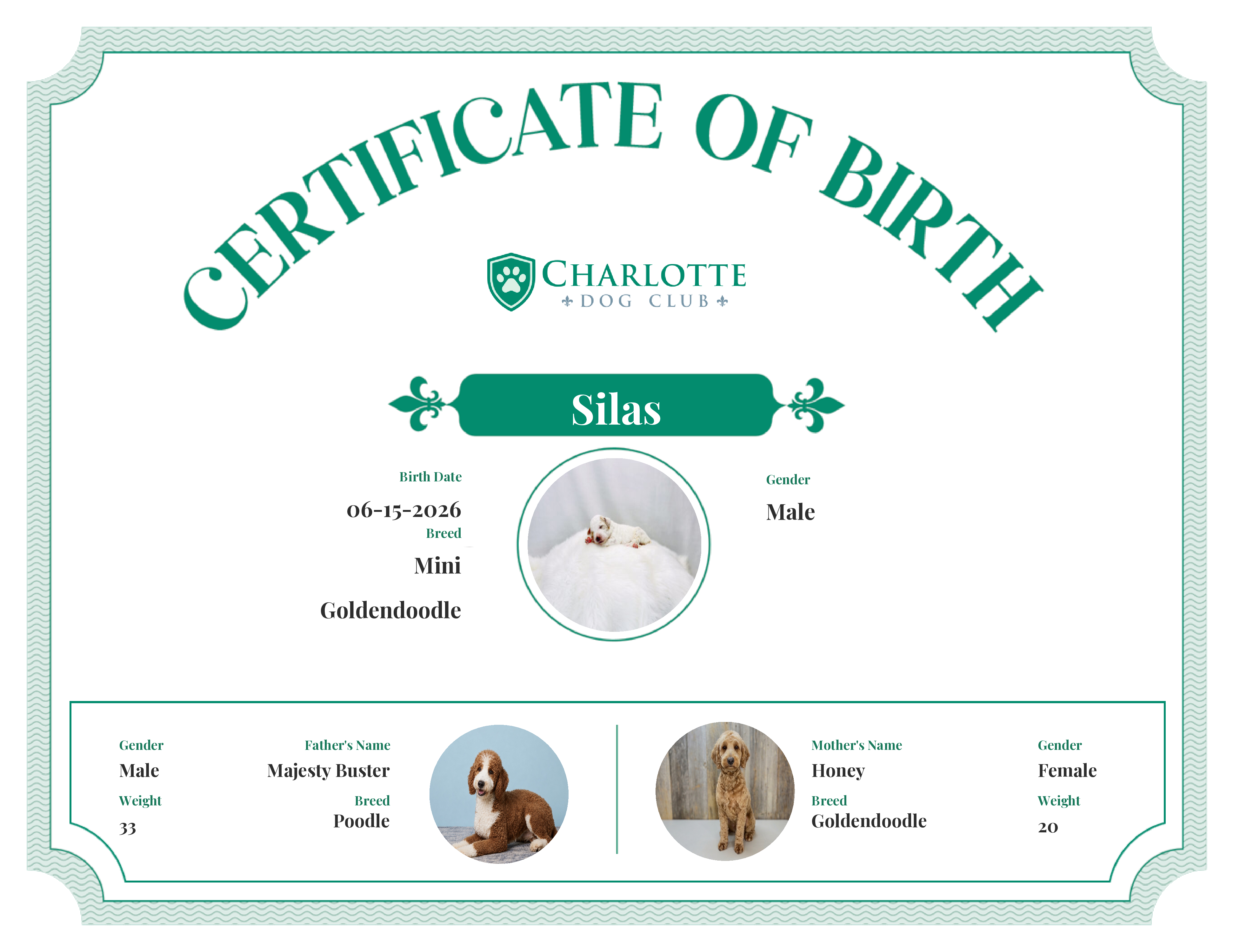 Silas's Birth Certificate