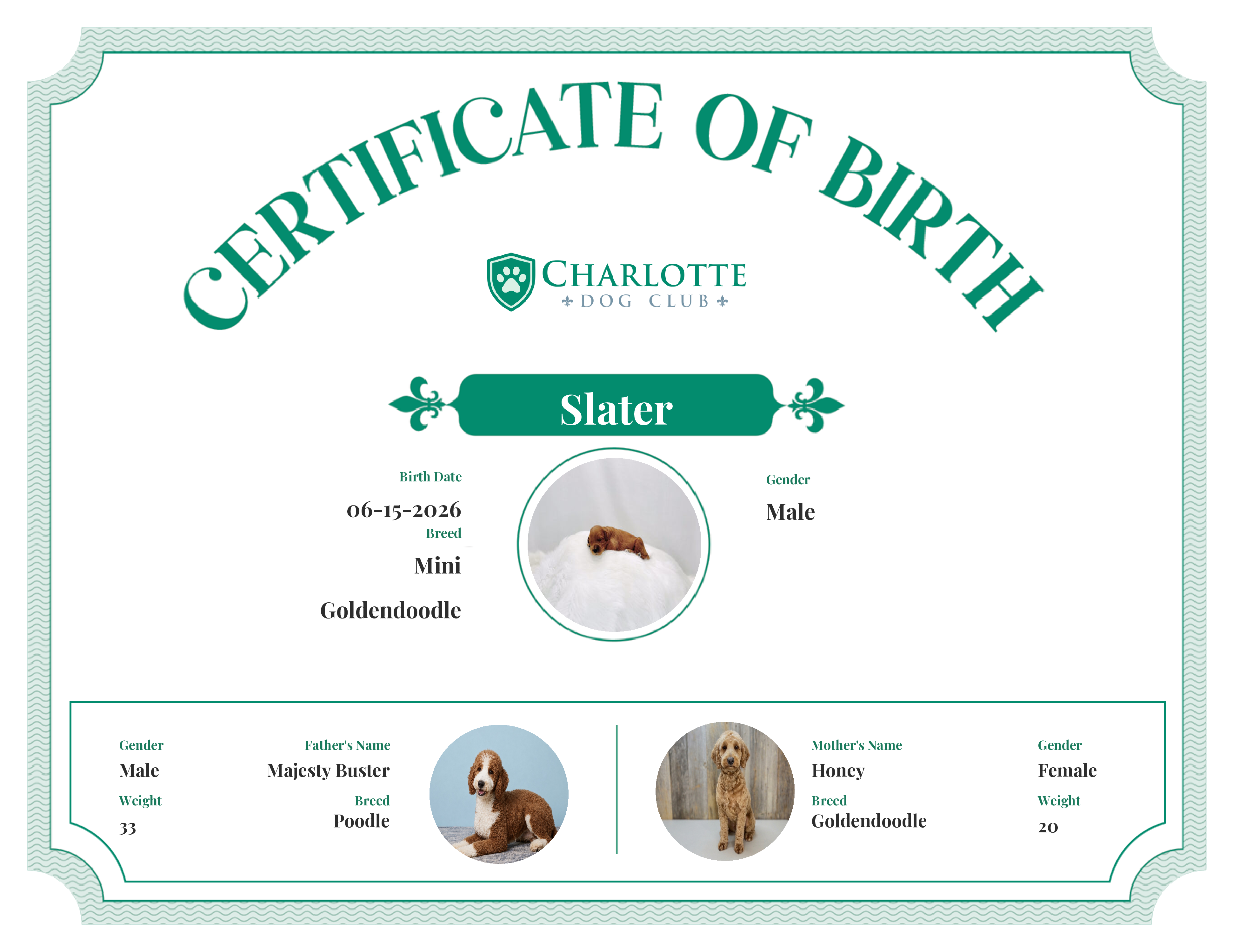 Slater's Birth Certificate