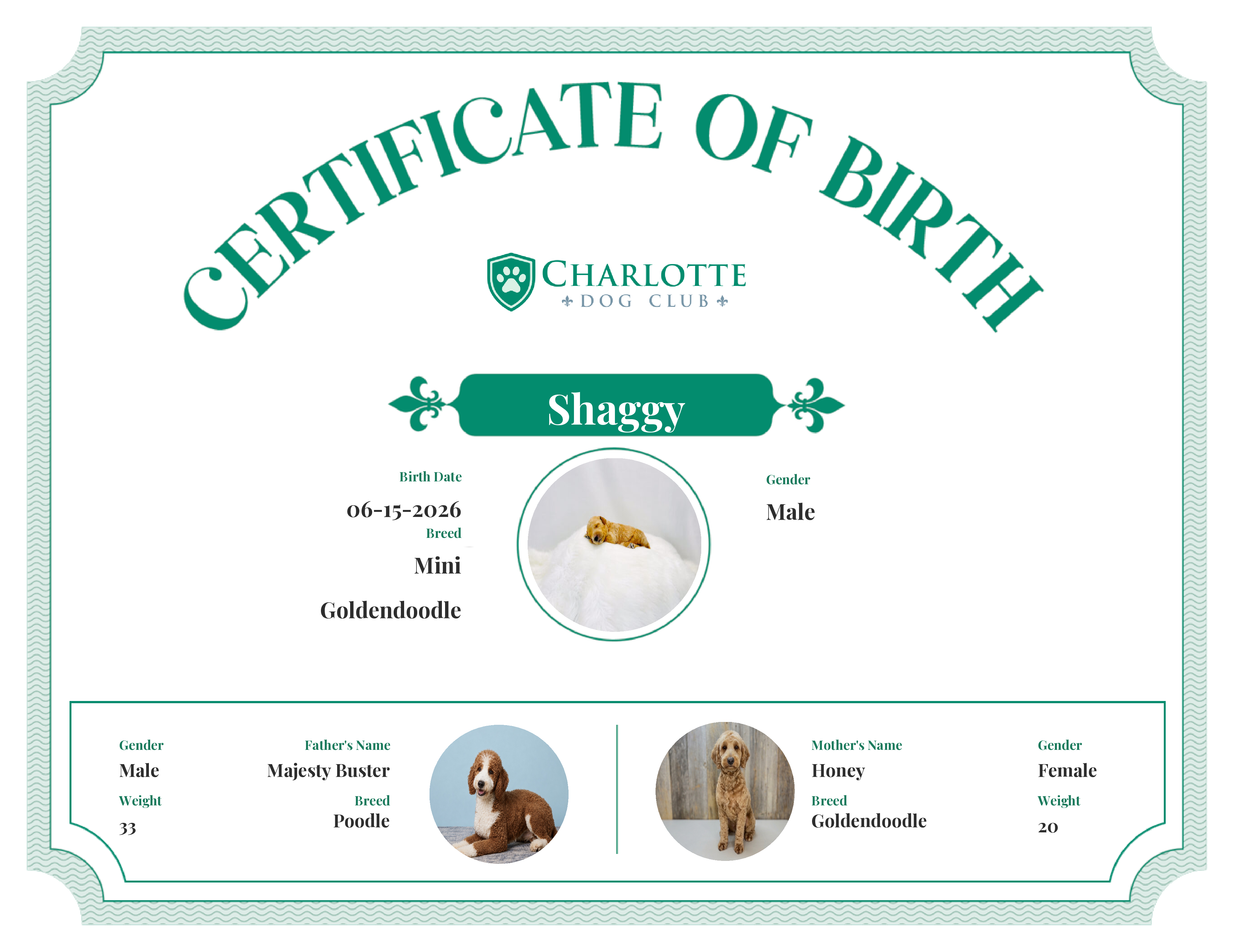 Shaggy's Birth Certificate