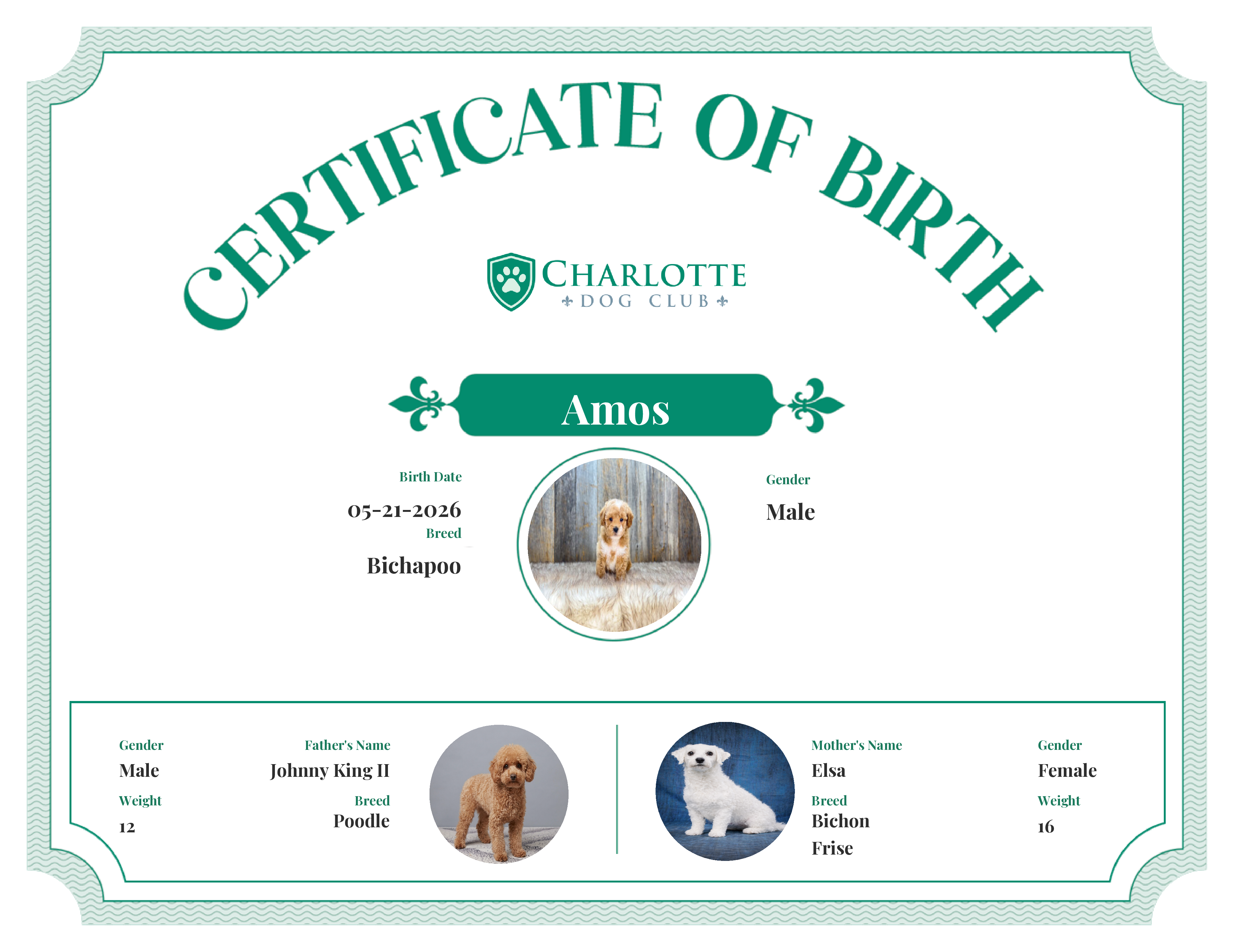 Amos's Birth Certificate